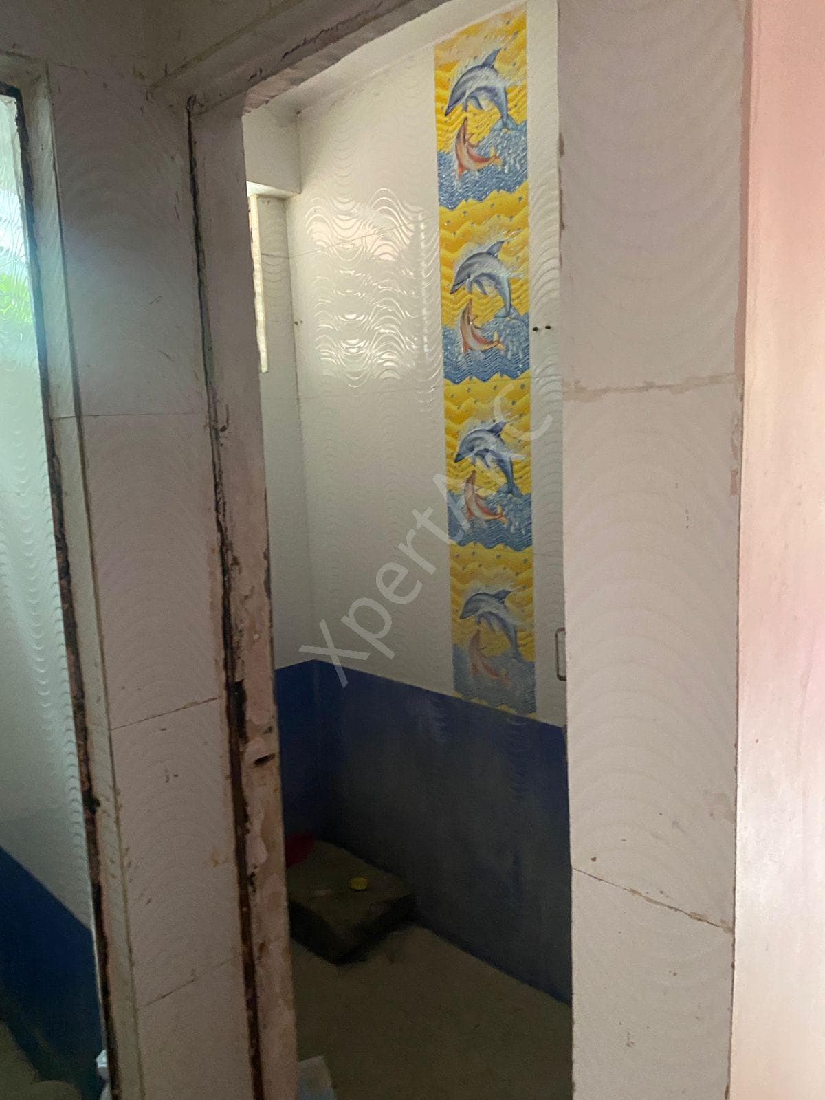 Property Photos 8