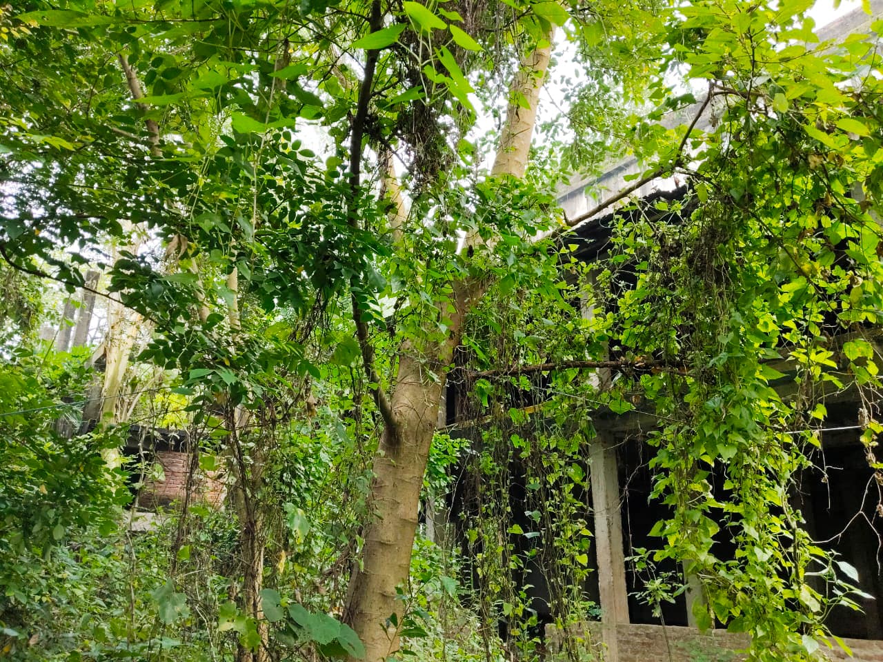 Property Photos 5