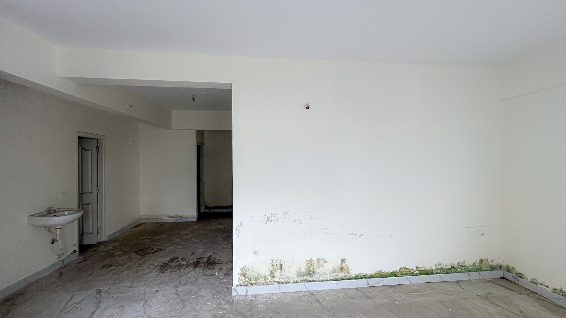 Property Photos 12