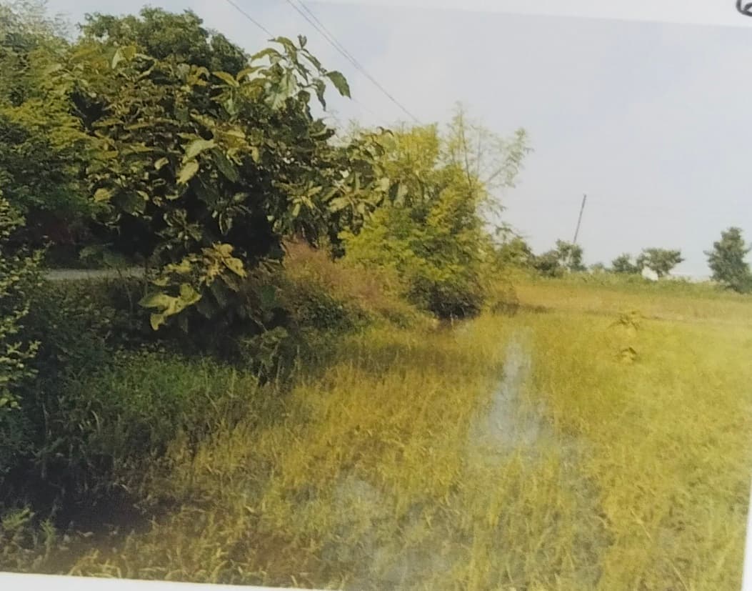 Property Photos 3