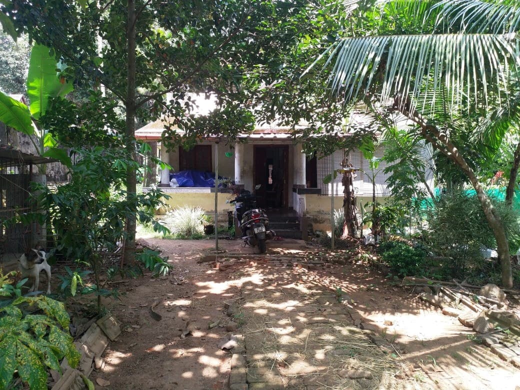 Property Photos 5