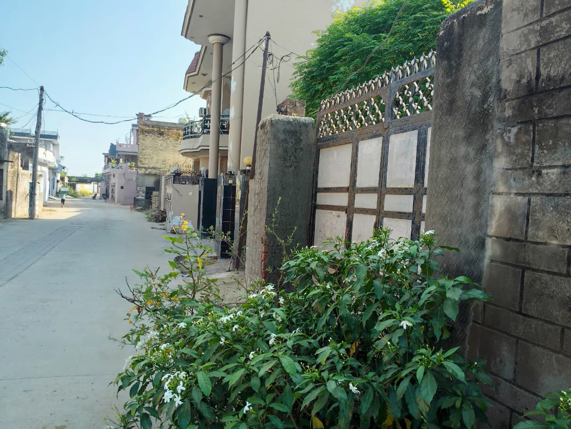 Property Photos 4