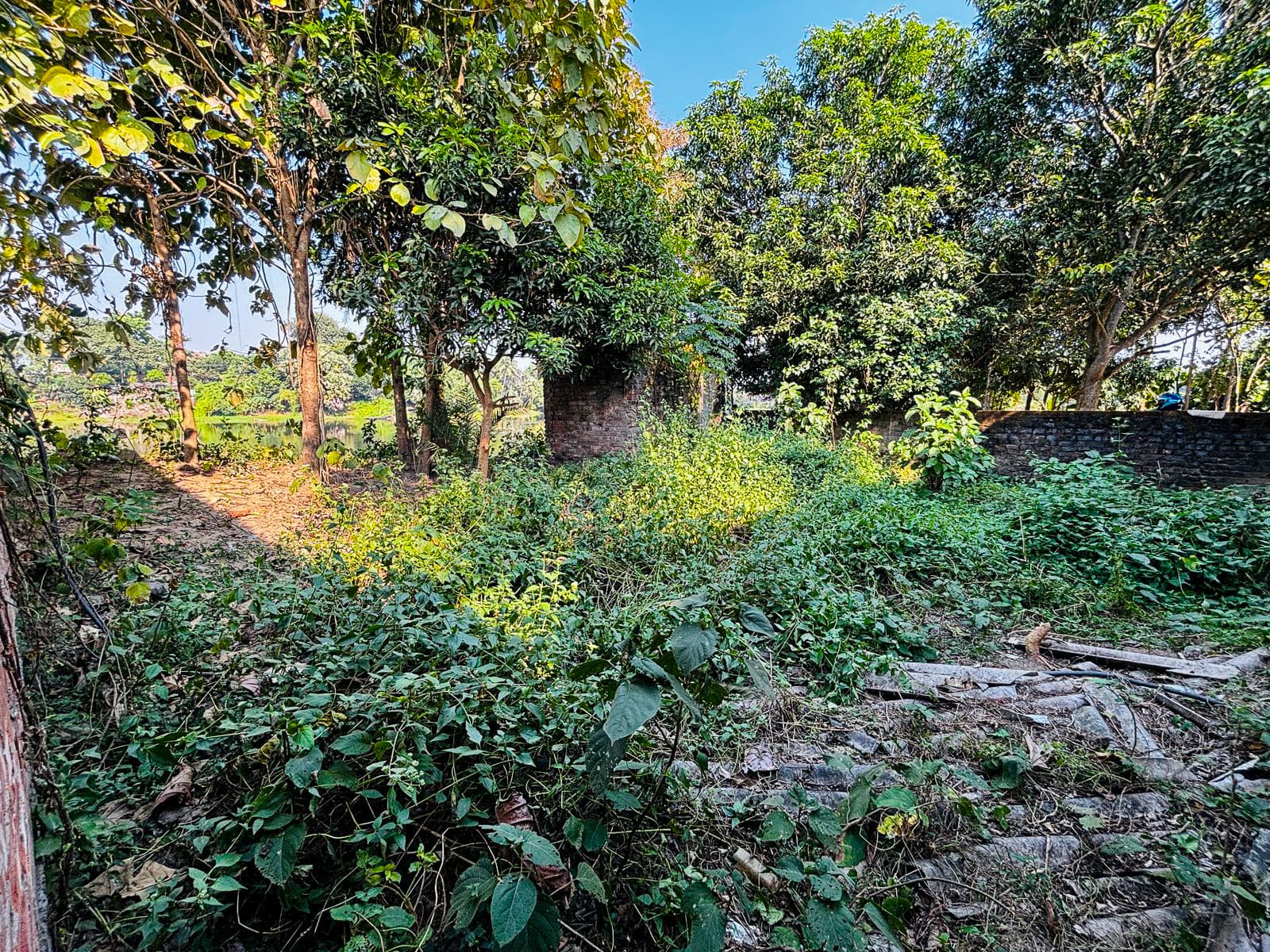 Property Photos 14