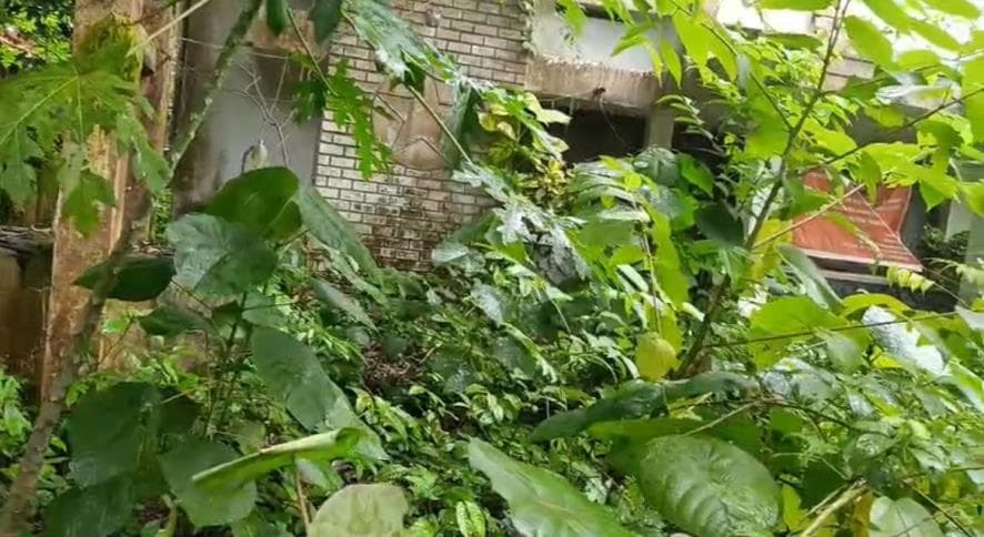 Property Photos 4
