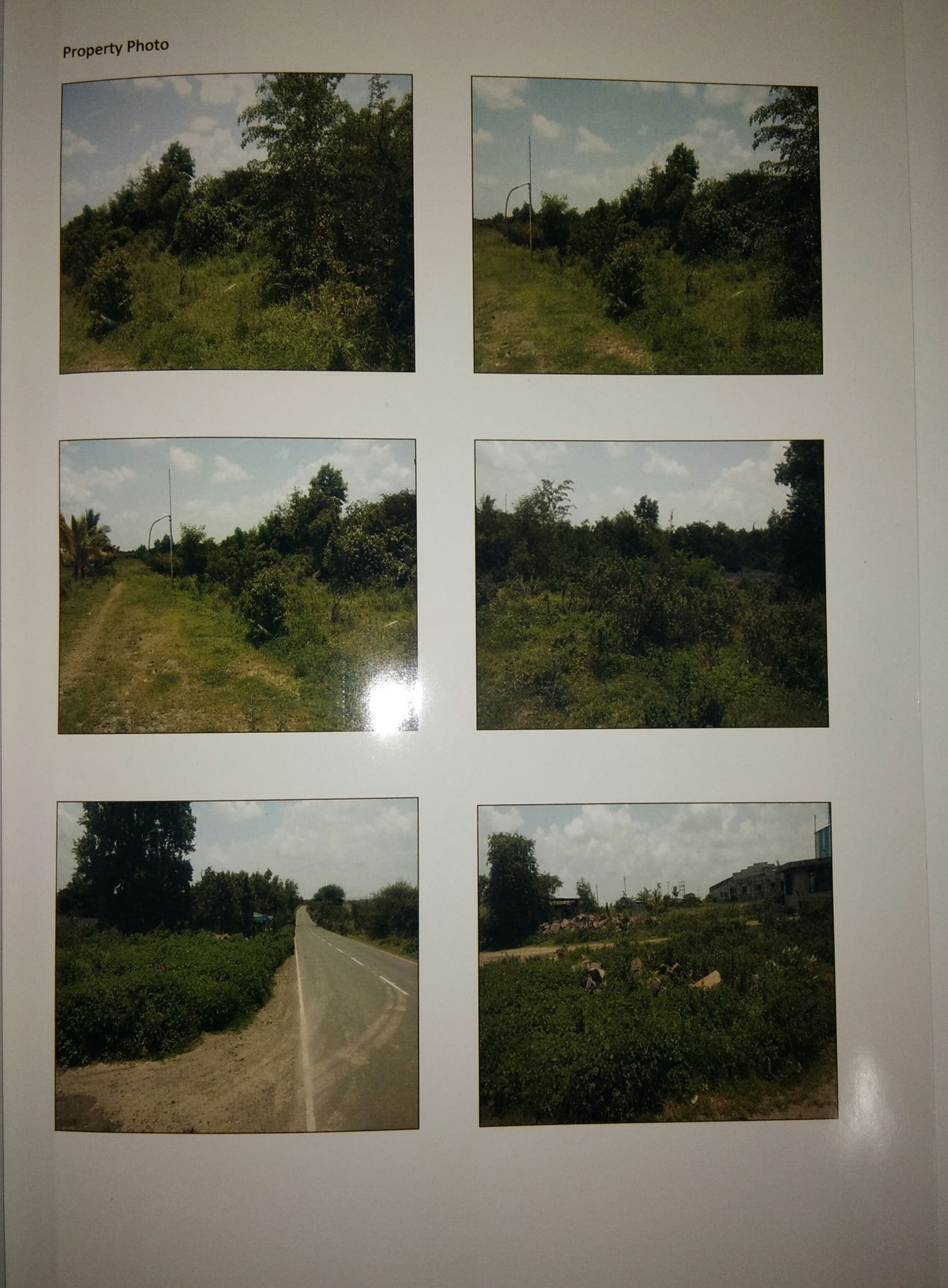 Property Photos 2