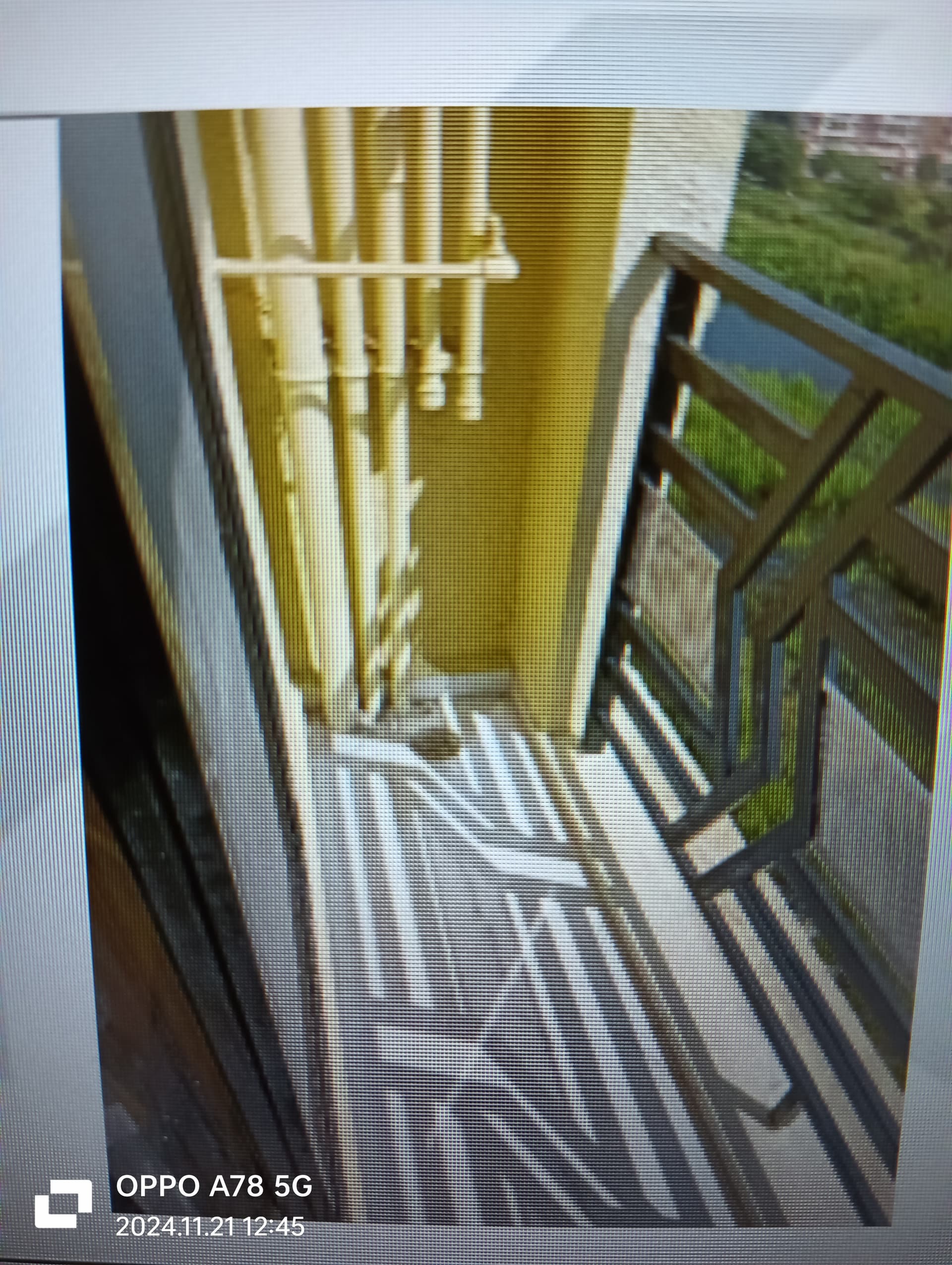 Property Photos 4