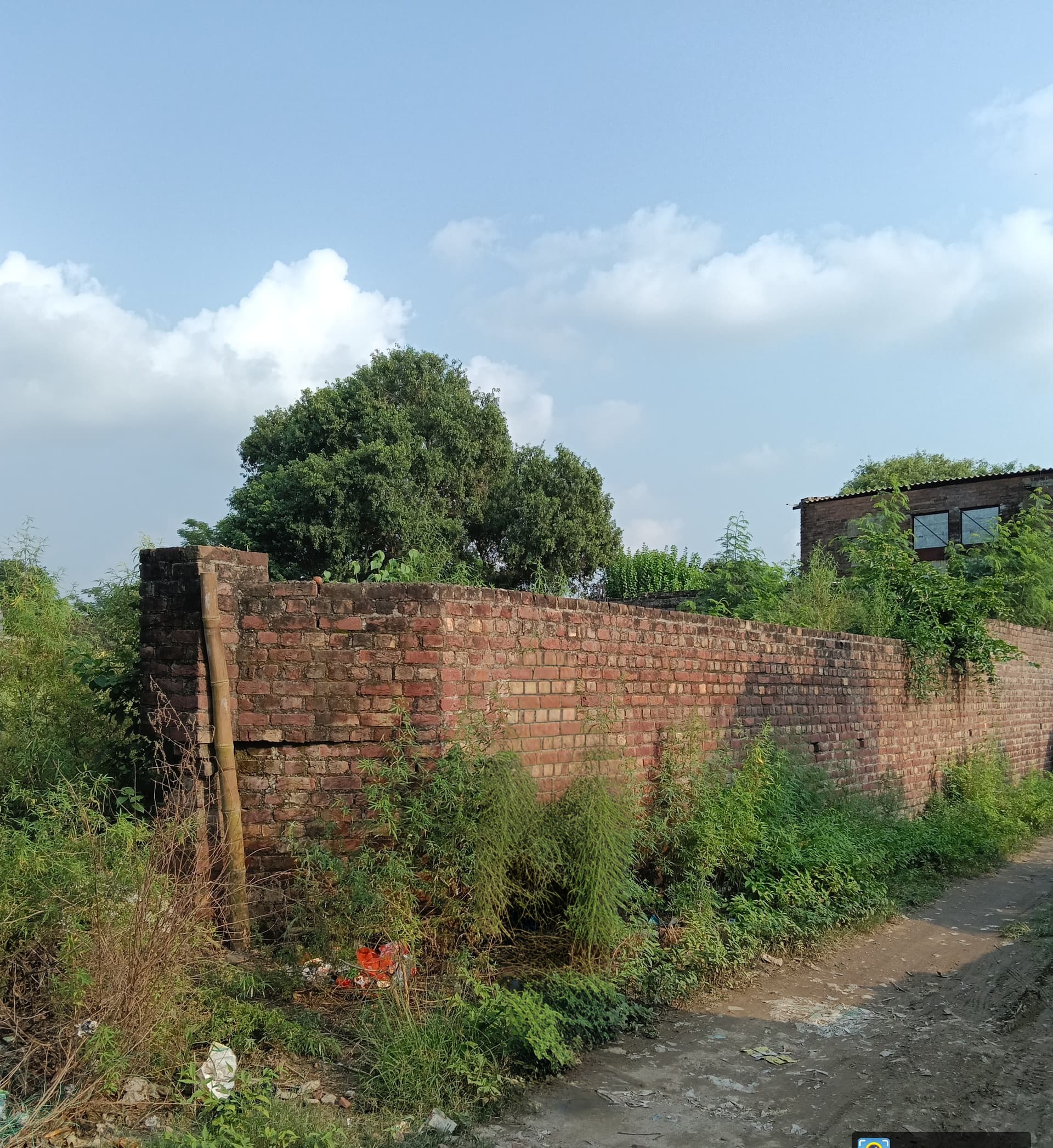 Property Photos 8