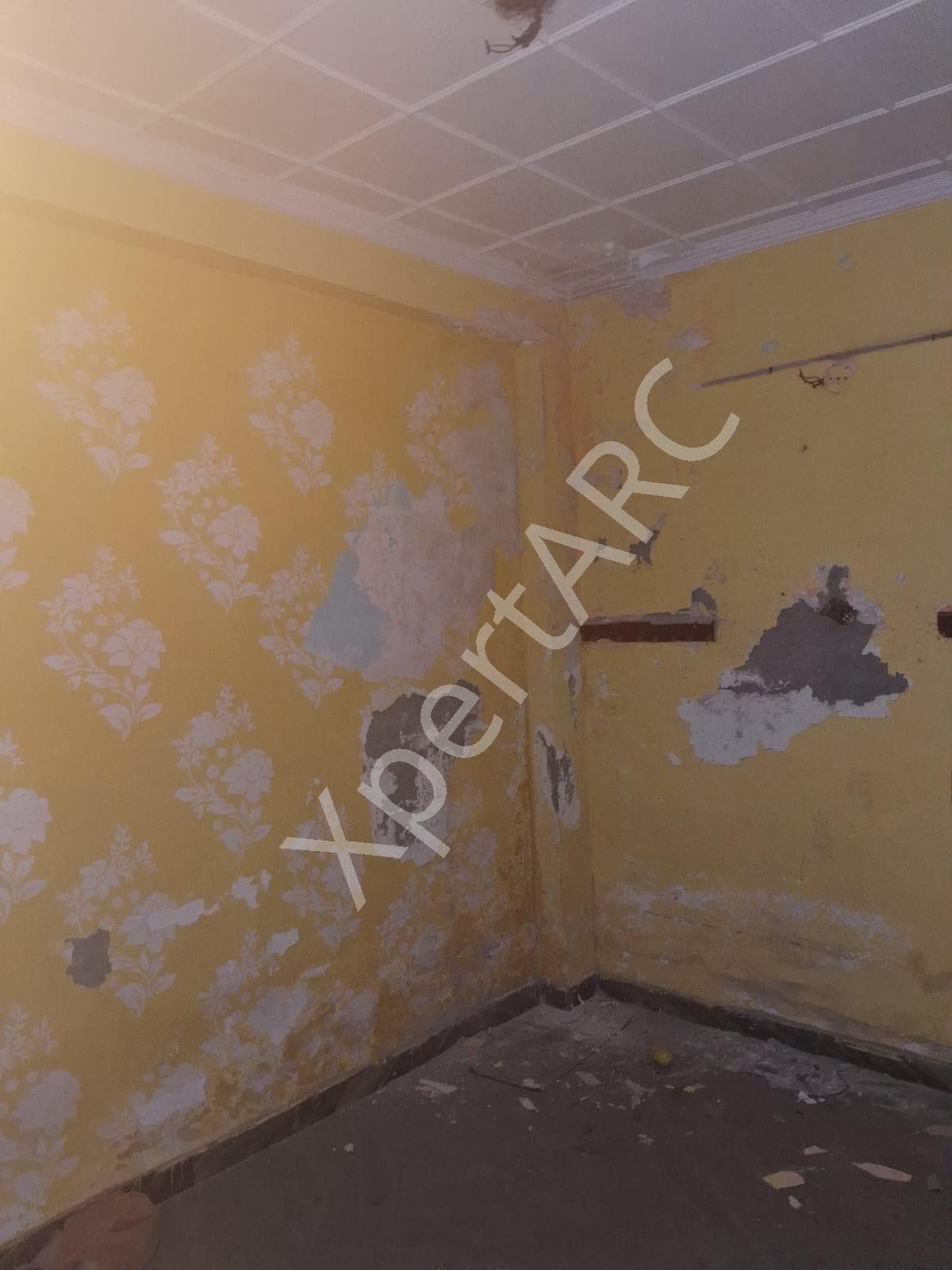 Property Photos 8
