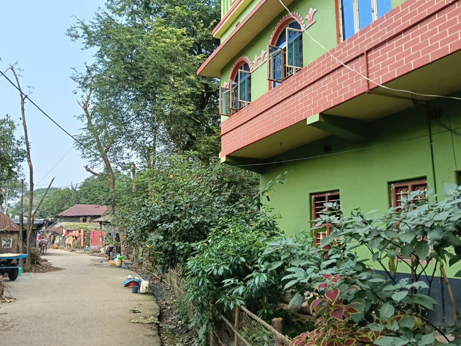 Property Photos 2