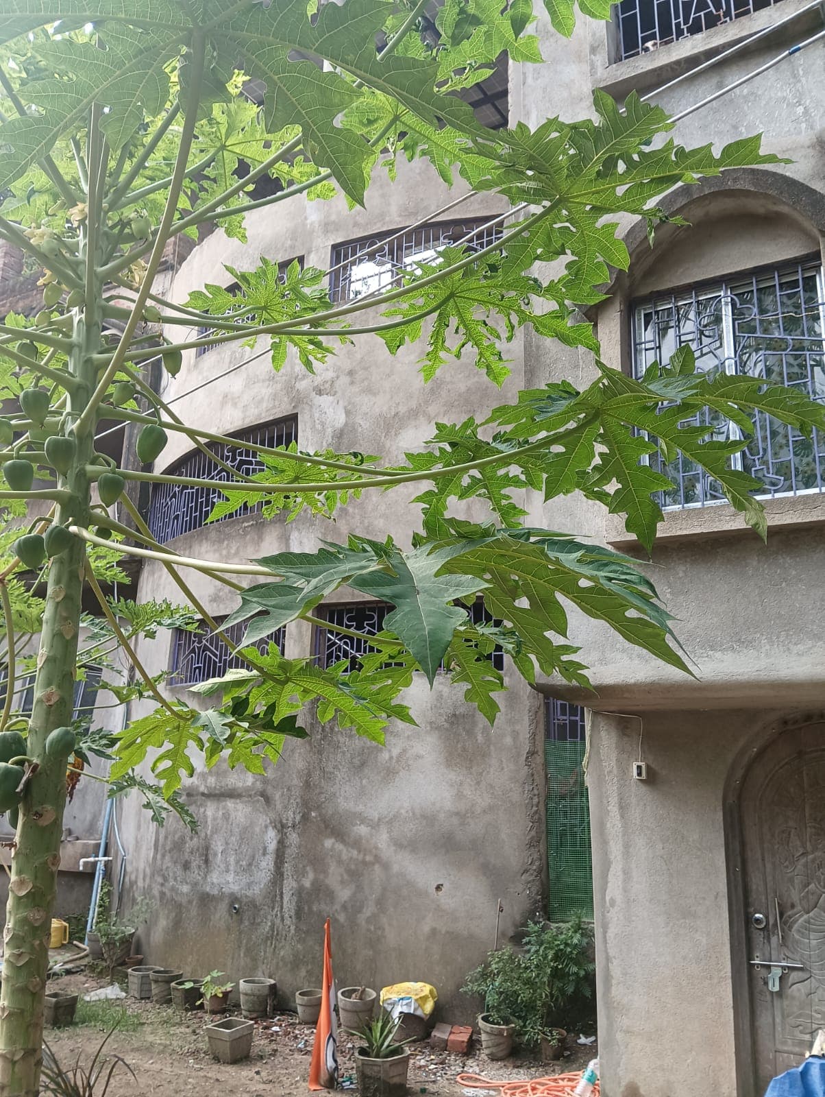 Property Photos 8