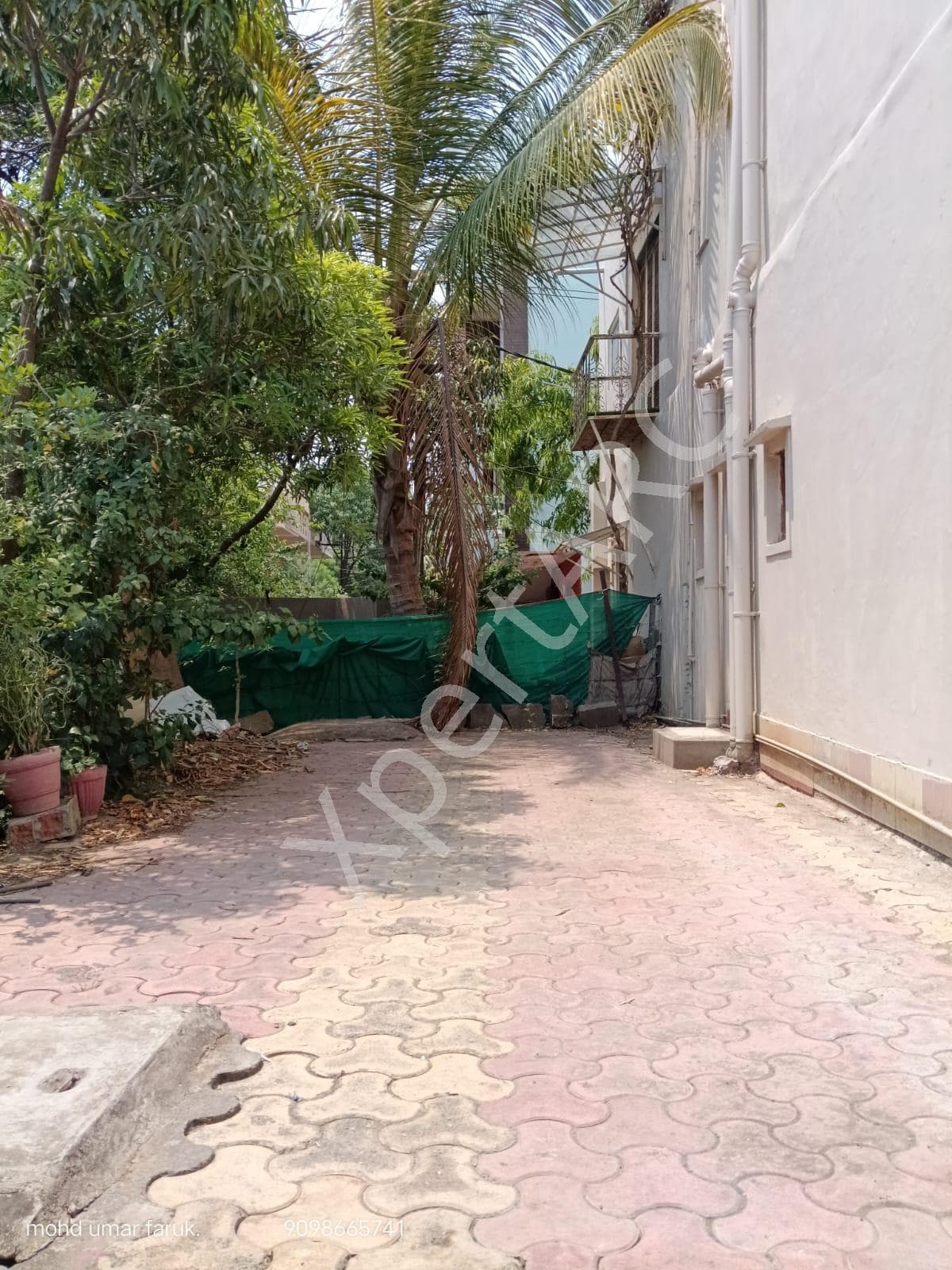 Property Photos 5