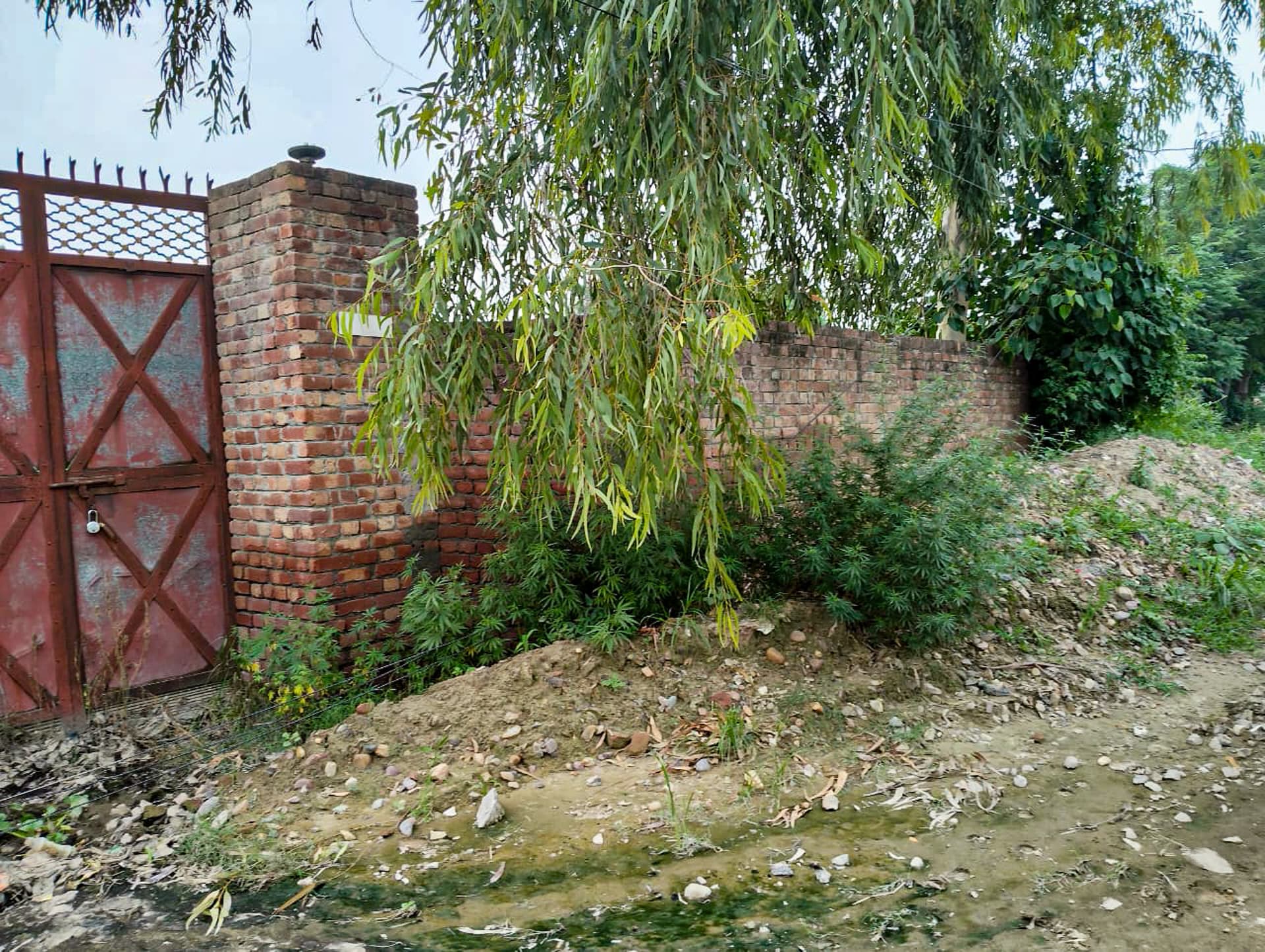 Property Photos 19