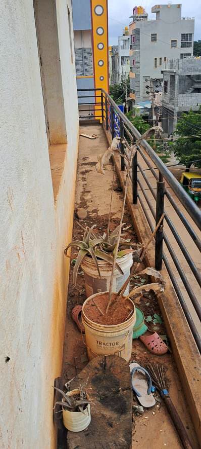 Property Photos 23