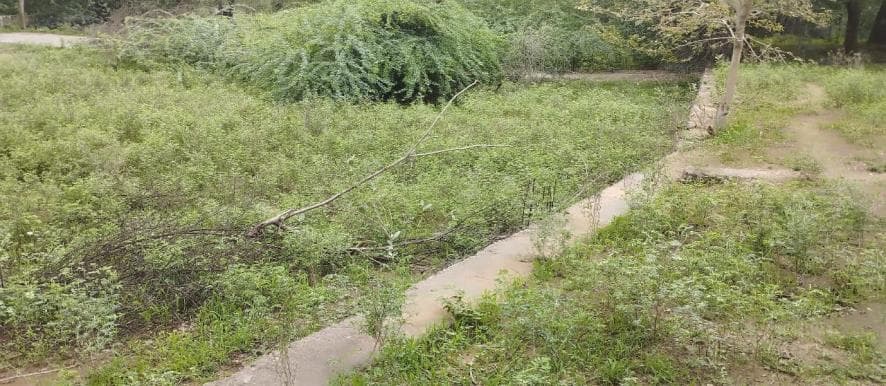 Property Photos 5
