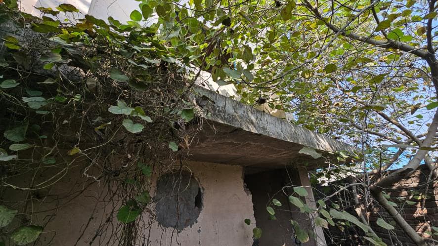Property Photos 19