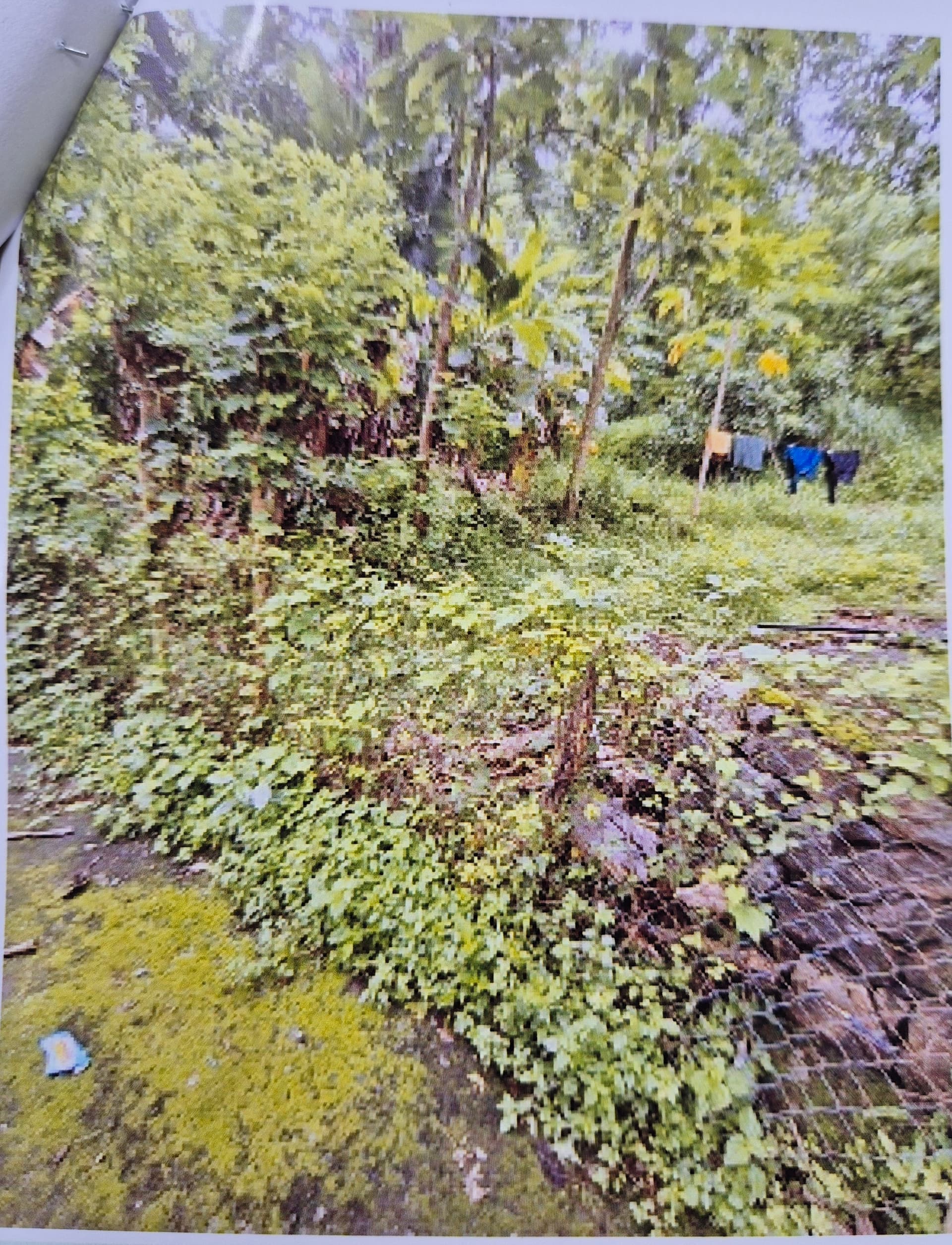 Property Photos 2