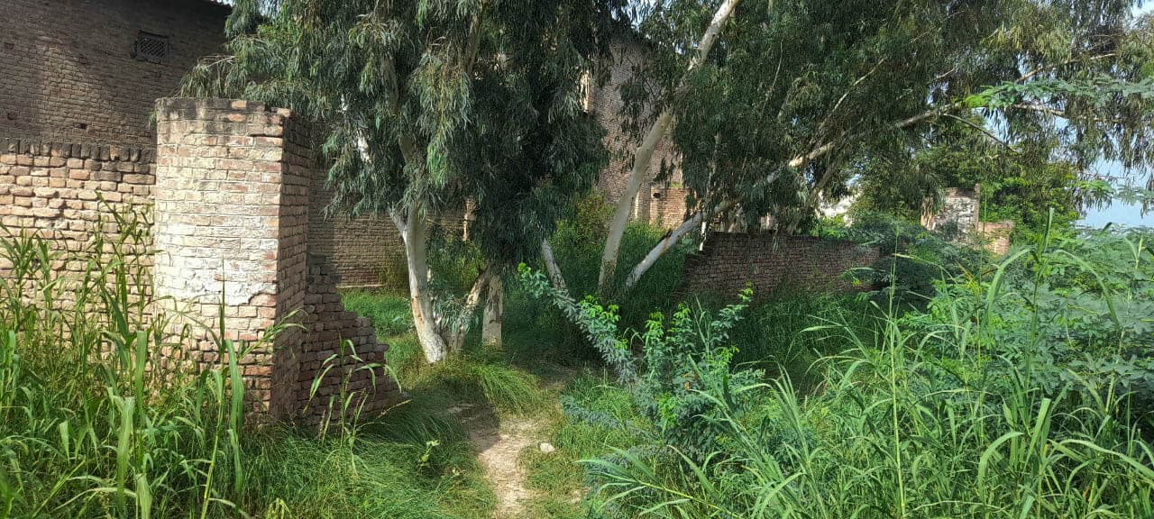 Property Photos 19