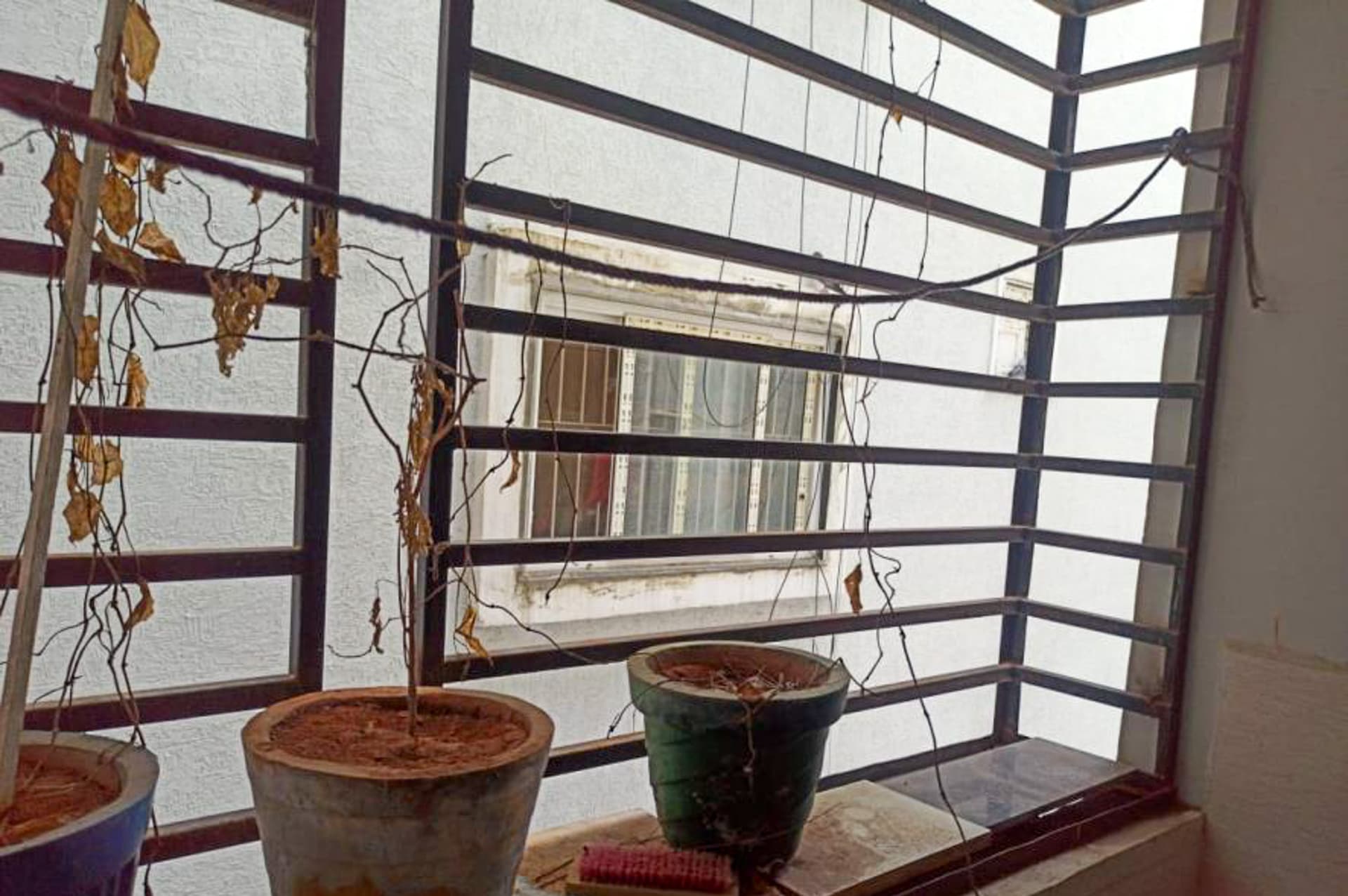 Property Photos 2
