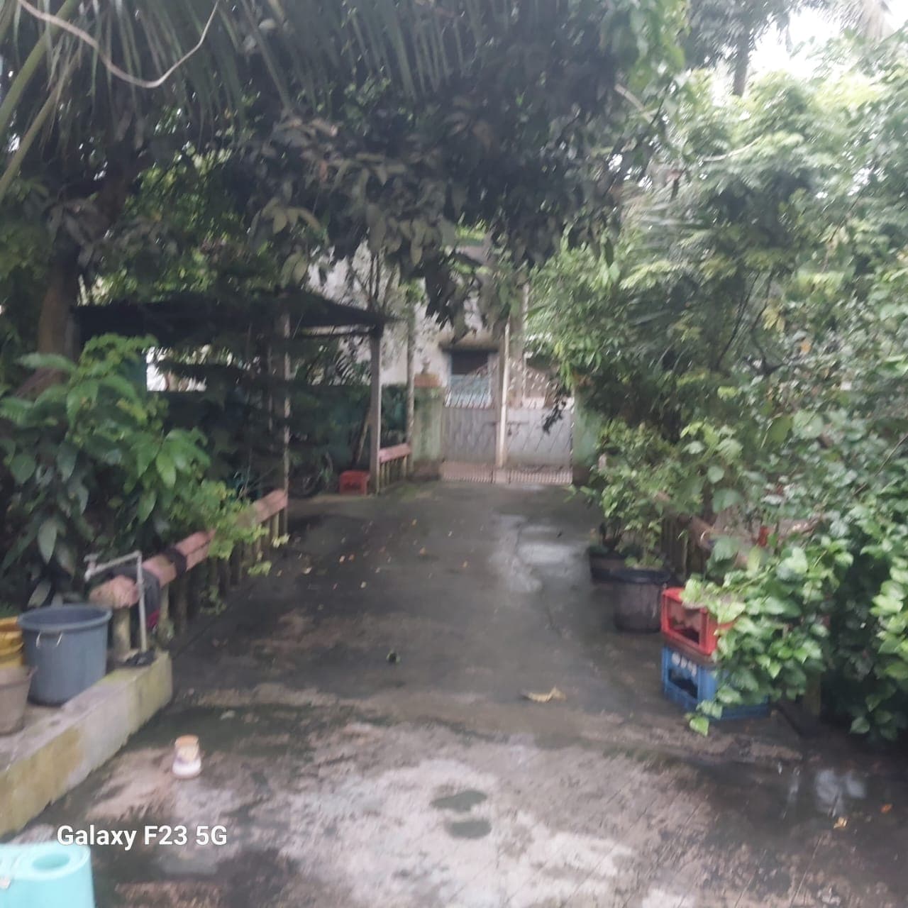 Property Photos 5
