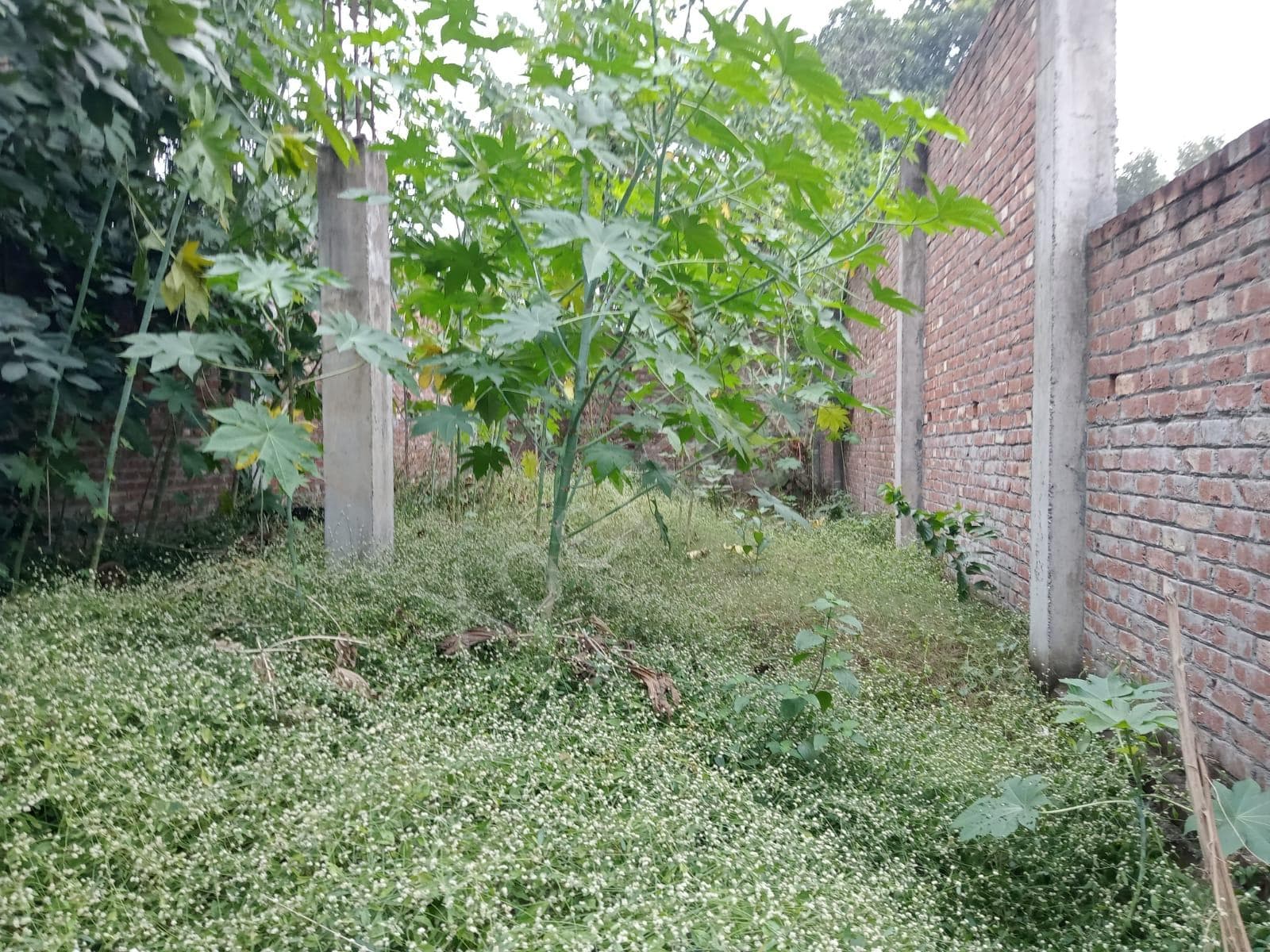 Property Photos 2