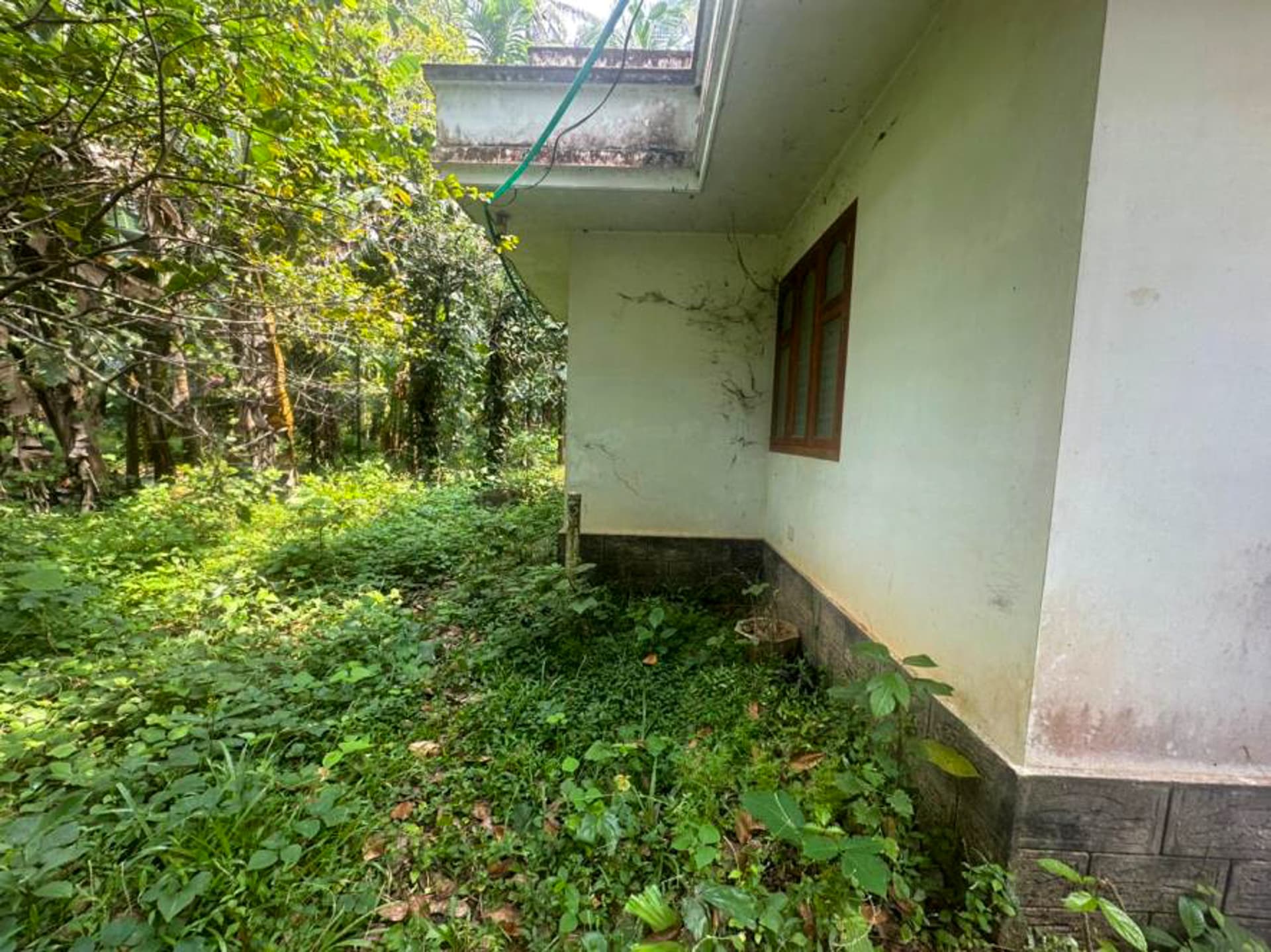 Property Photos 5