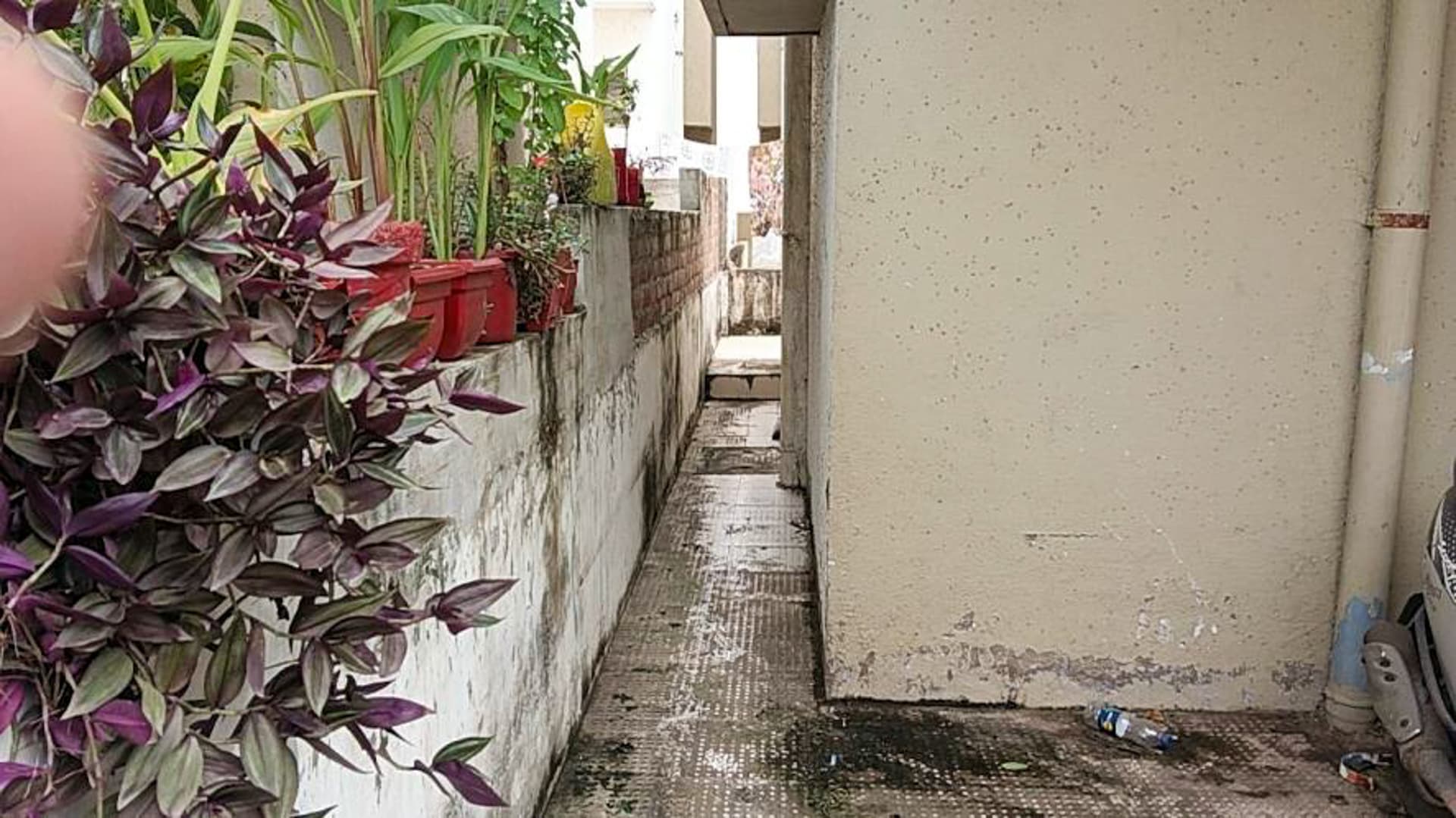 Property Photos 16