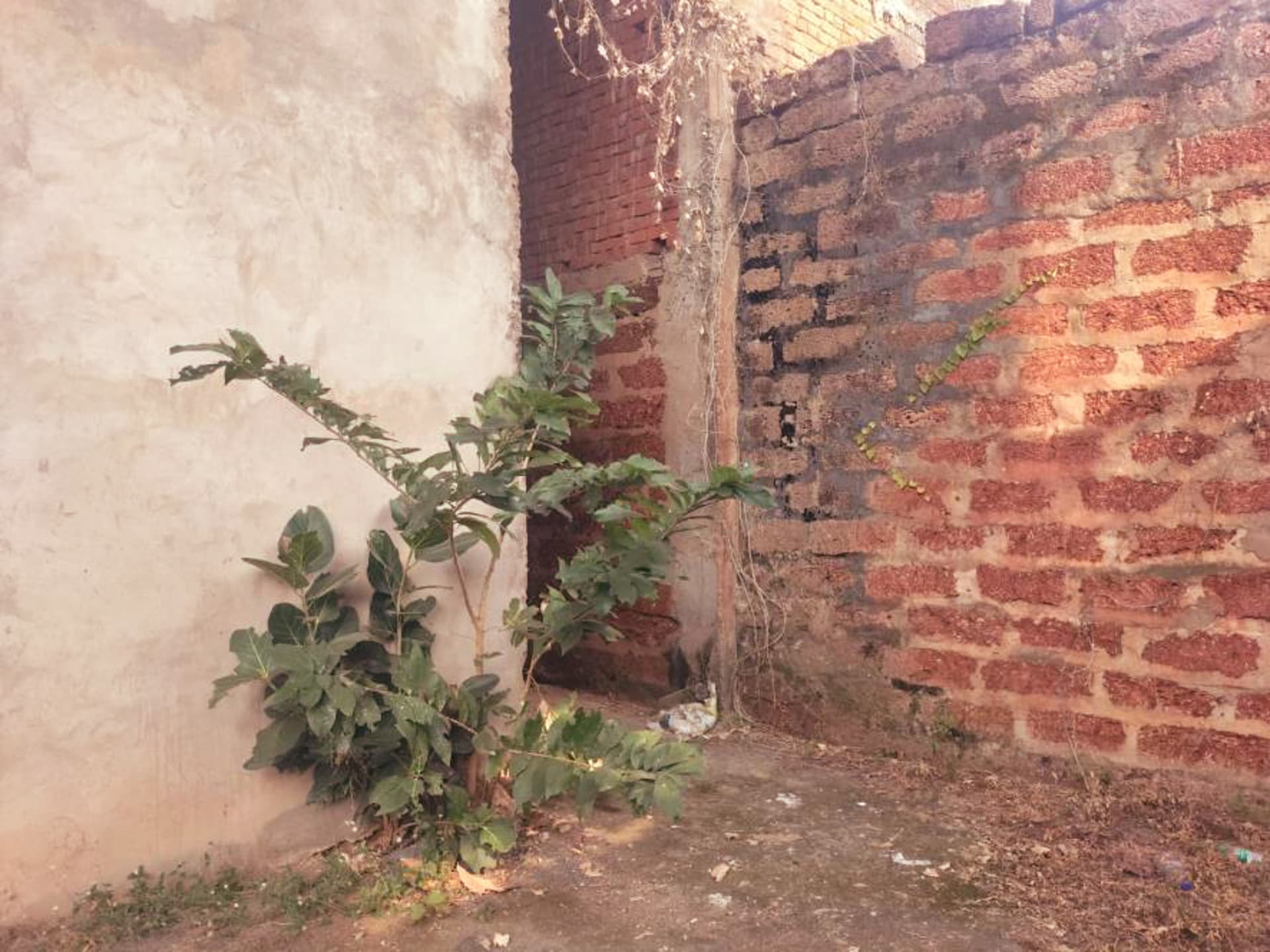 Property Photos 22