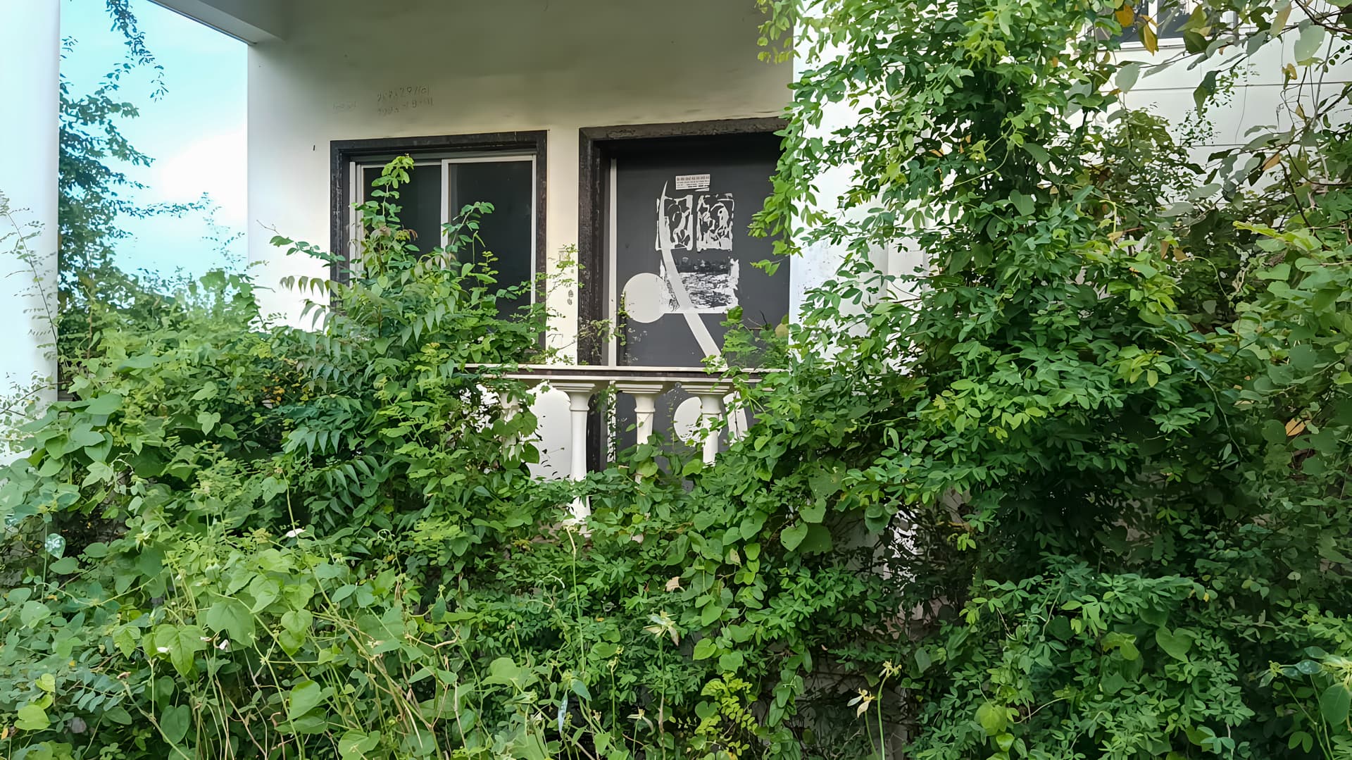 Property Photos 6