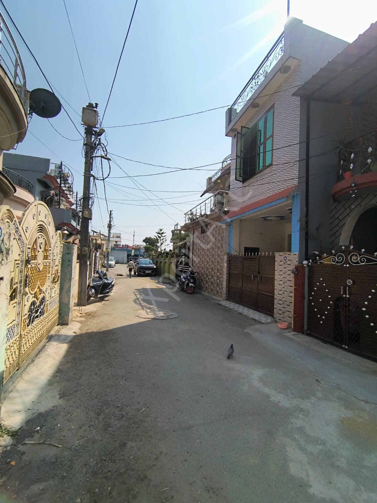 Property Photos 2