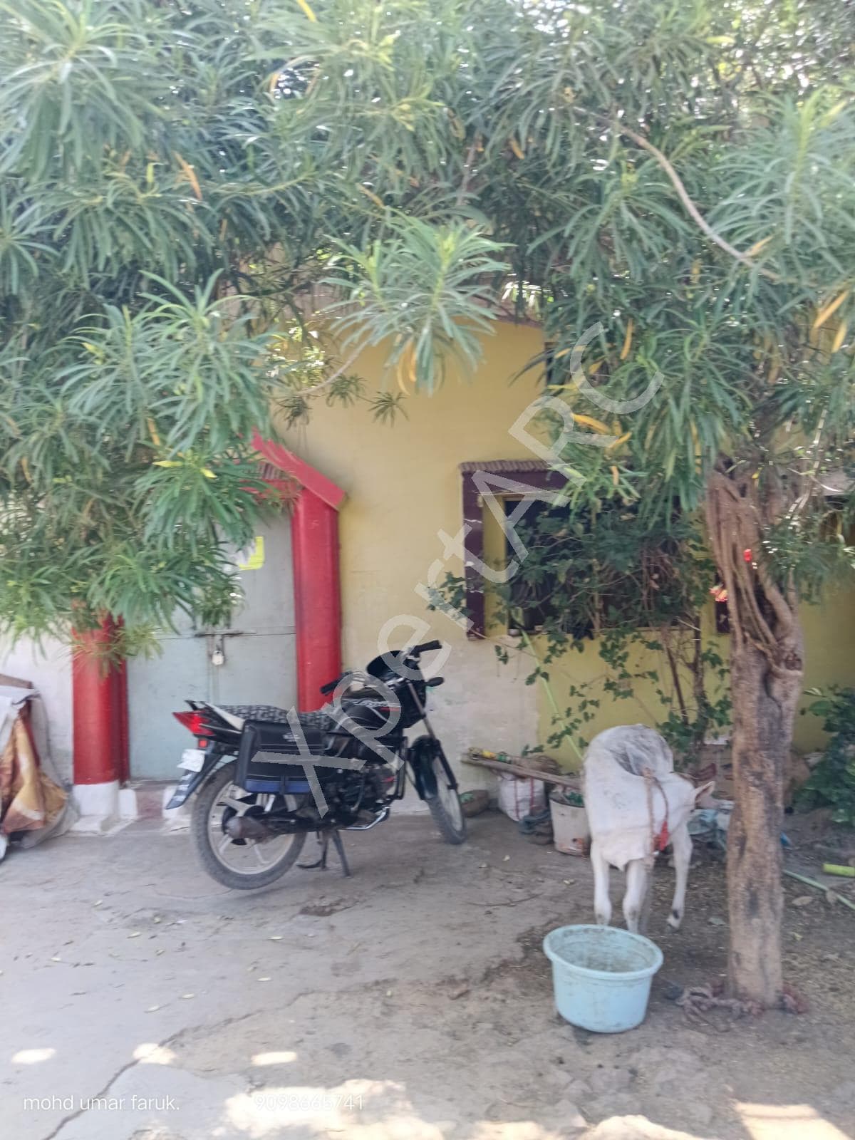 Property Photos 9