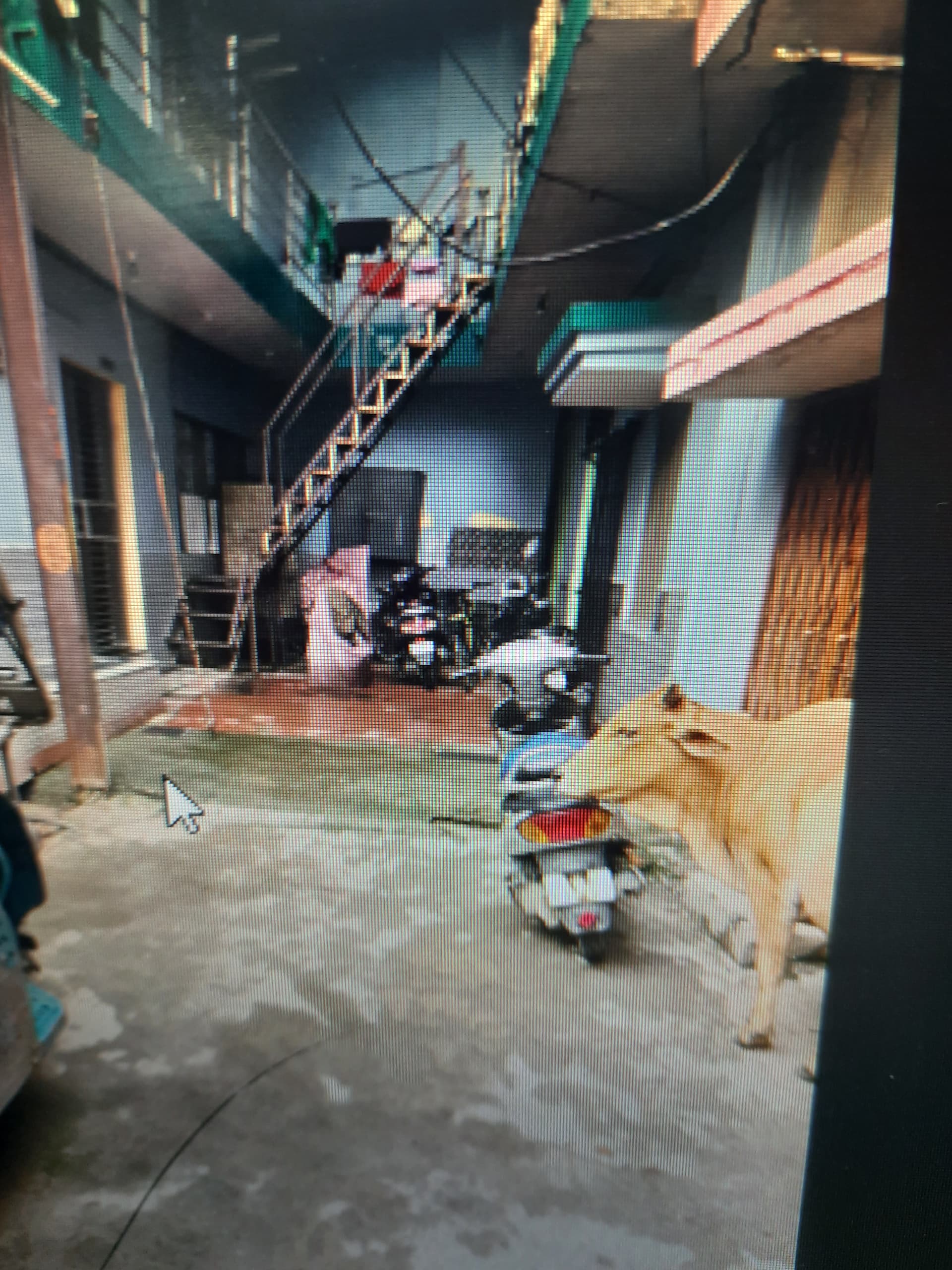 Property Photos 2