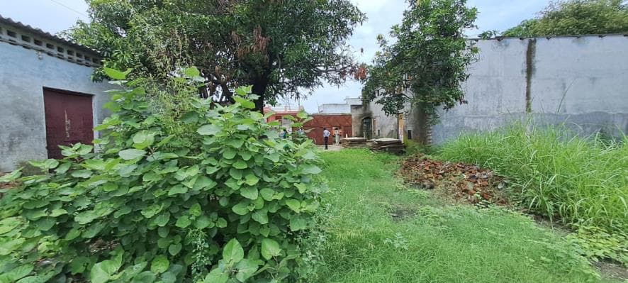 Property Photos 17