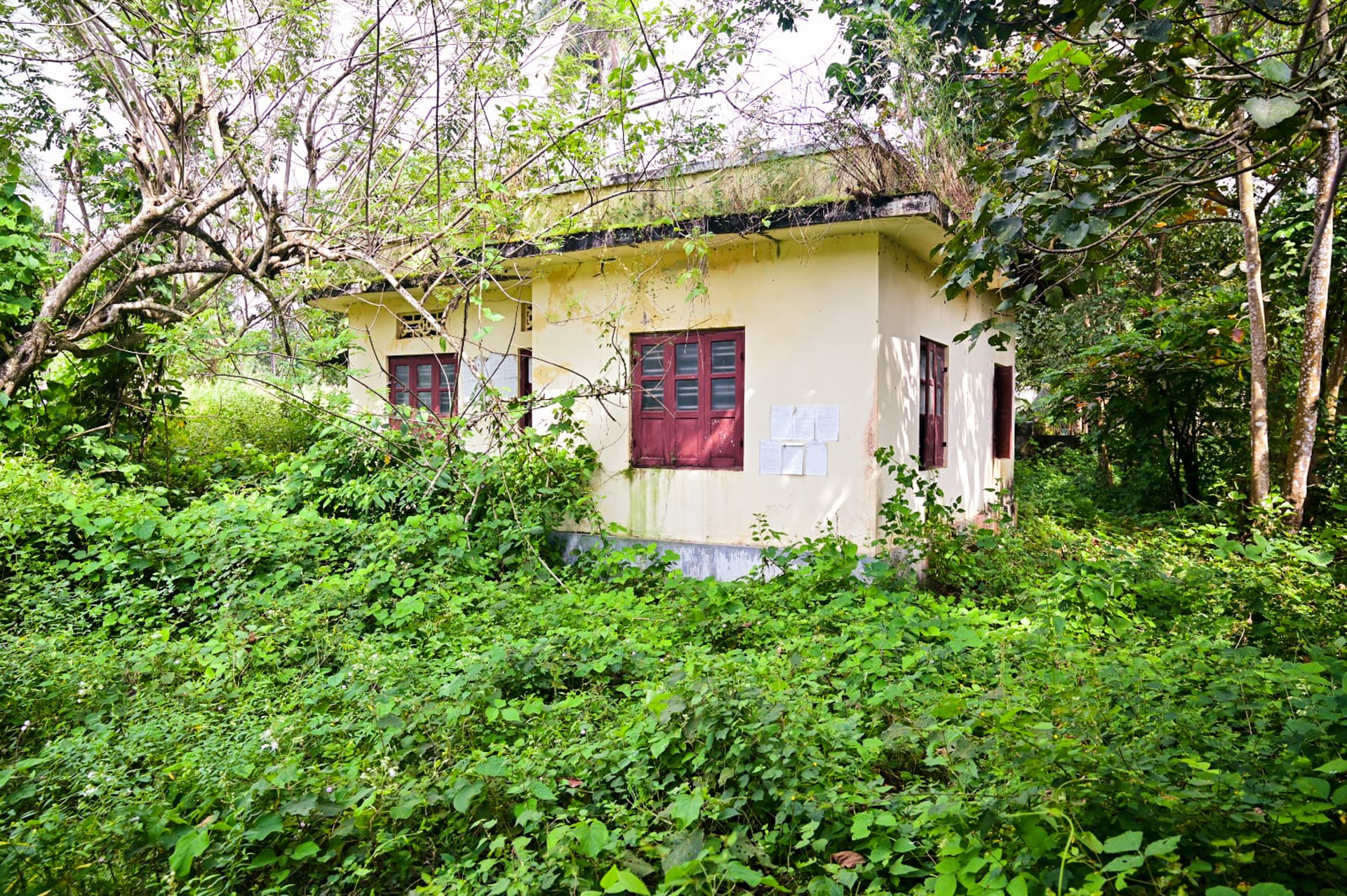 Property Photos 2