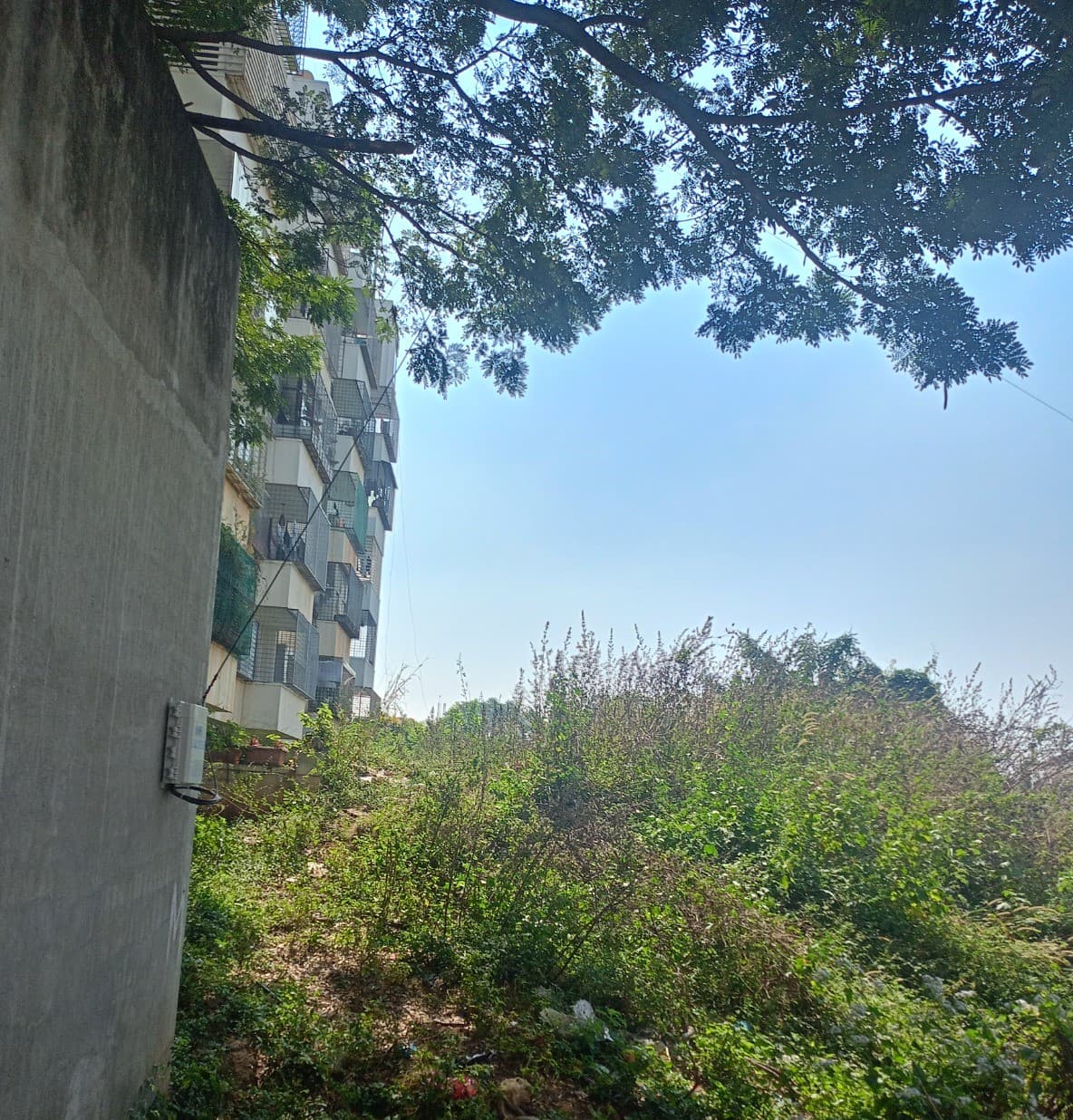 Property Photos 2