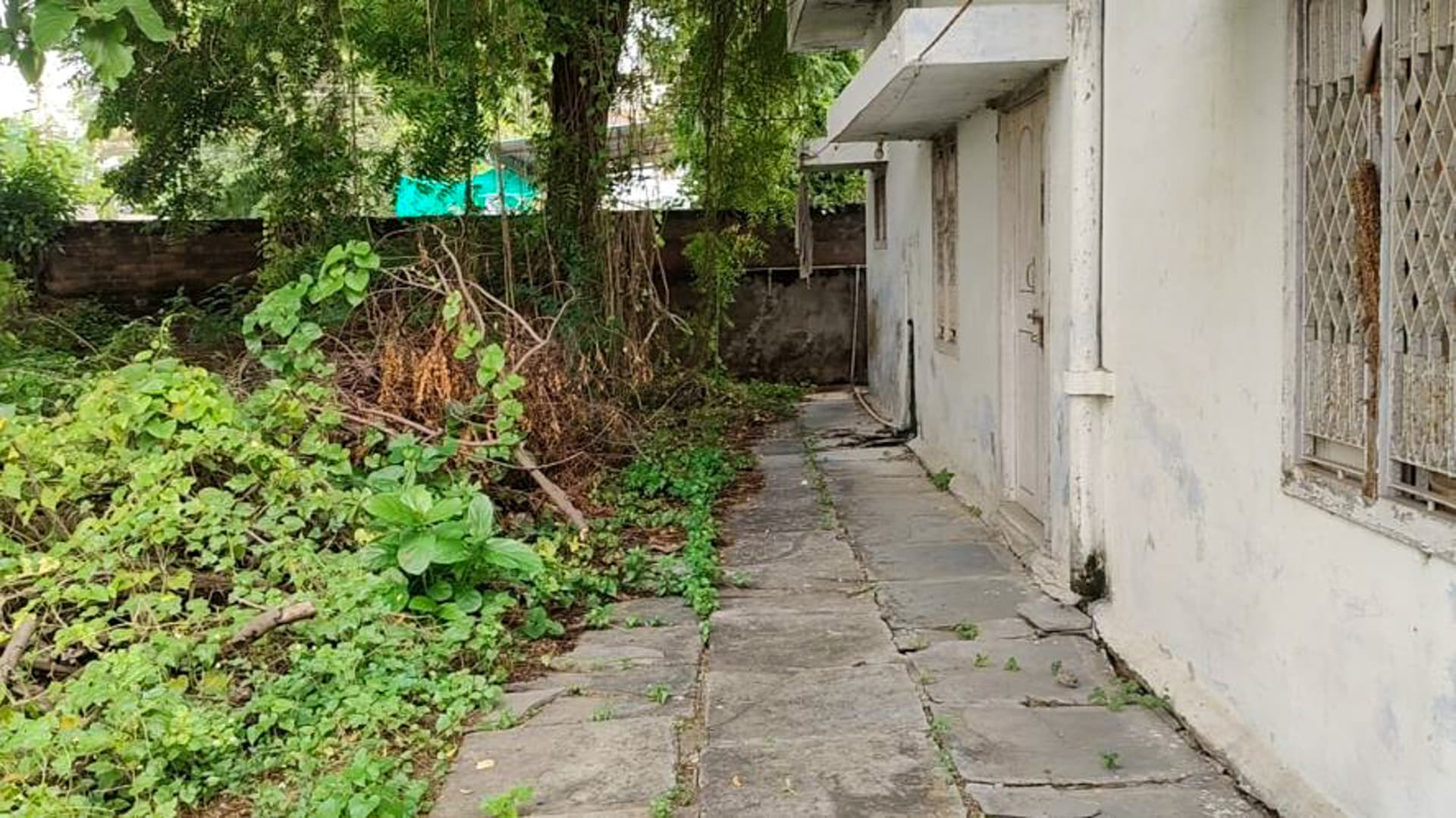 Property Photos 2