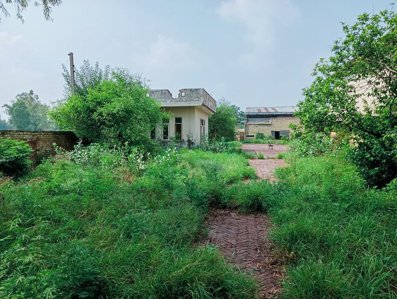 Property Photos 7