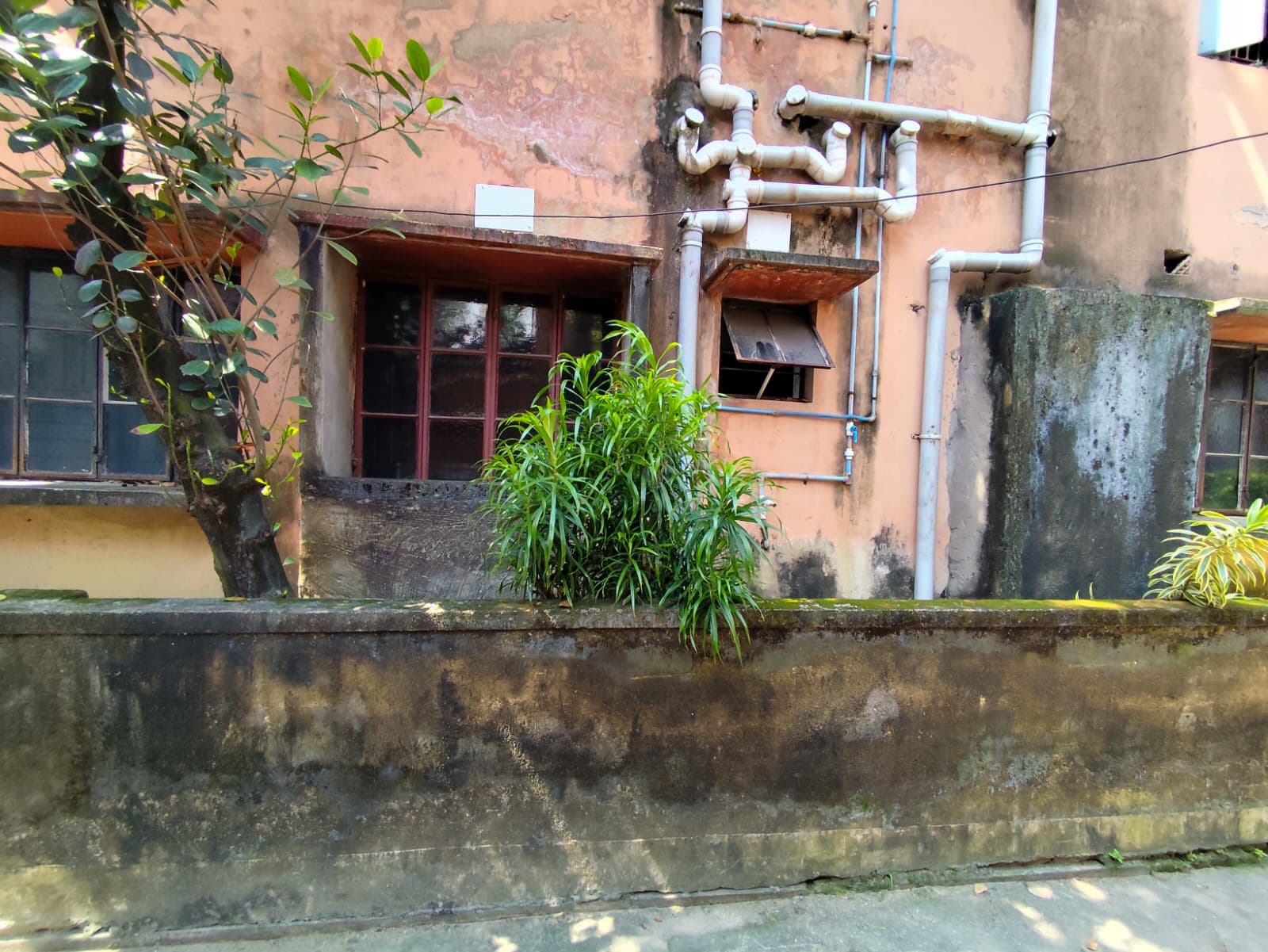 Property Photos 7