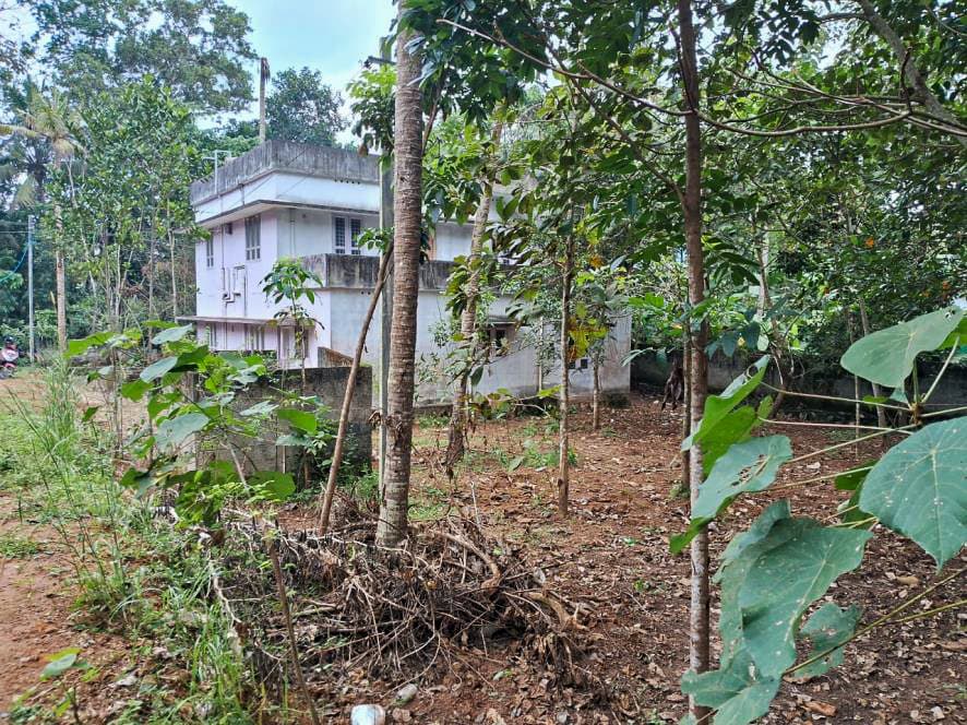Property Photos 23
