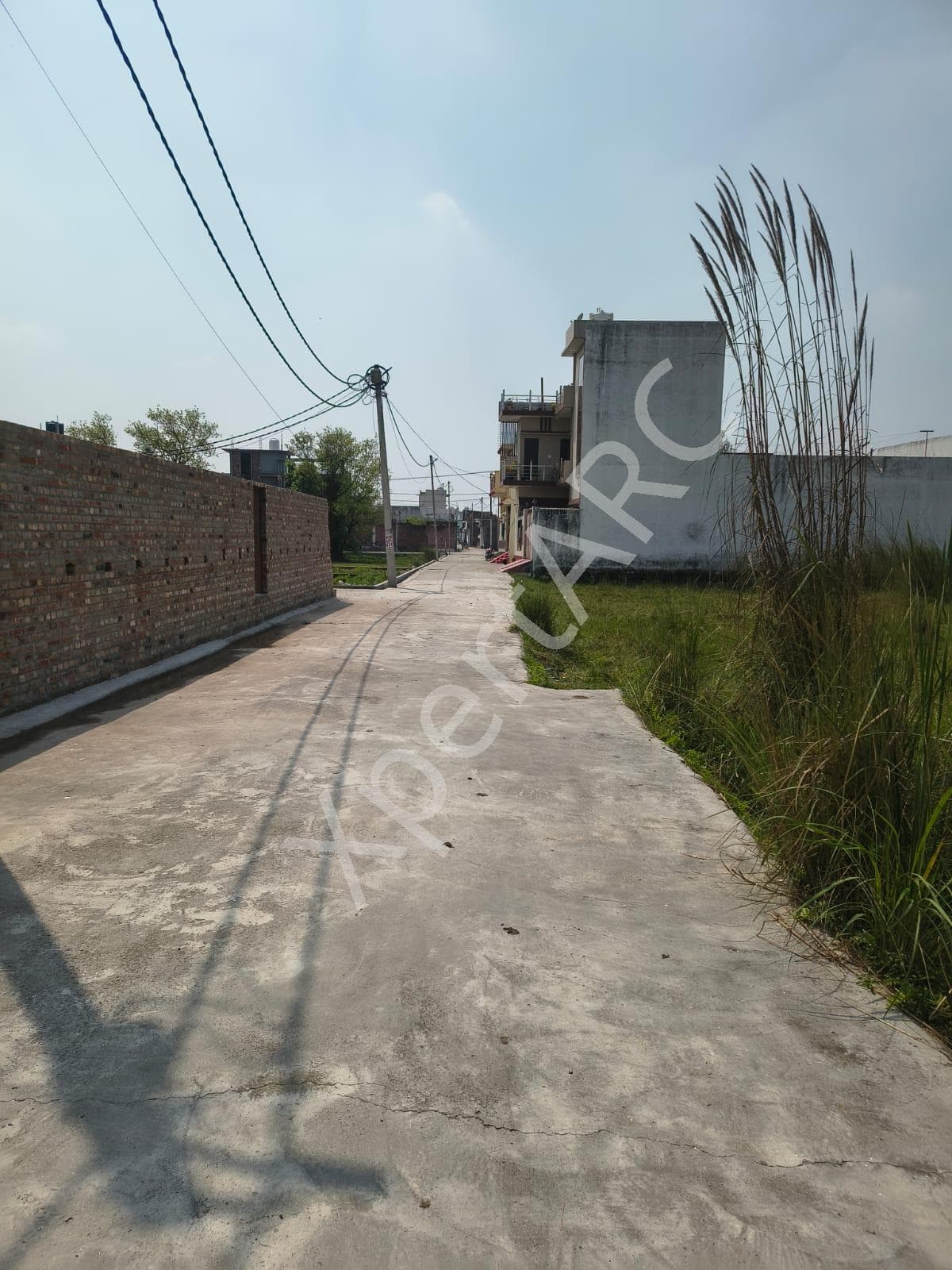 Property Photos 2