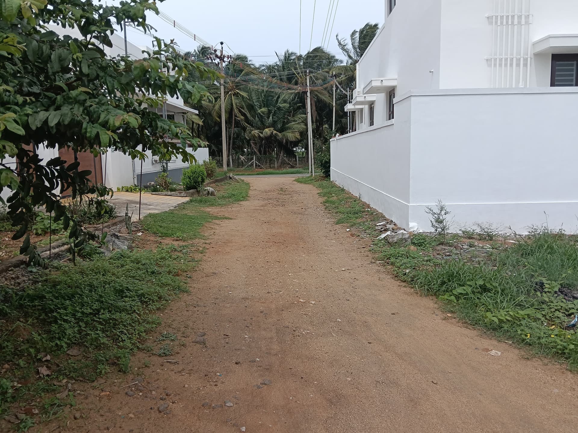 Property Photos 2