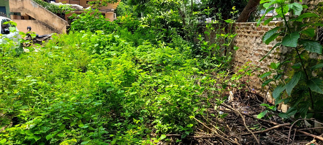 Property Photos 7