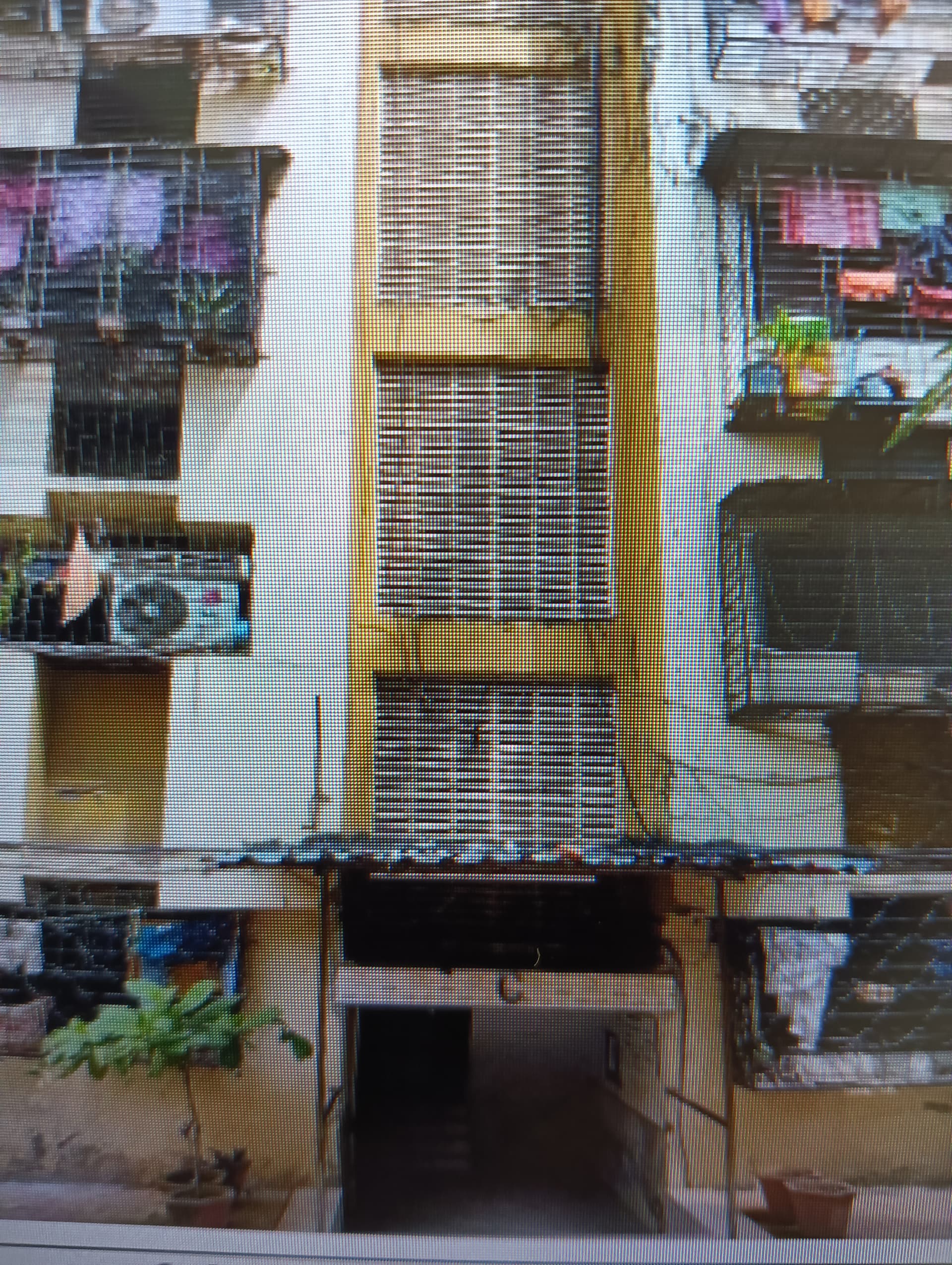 Property Photos 4