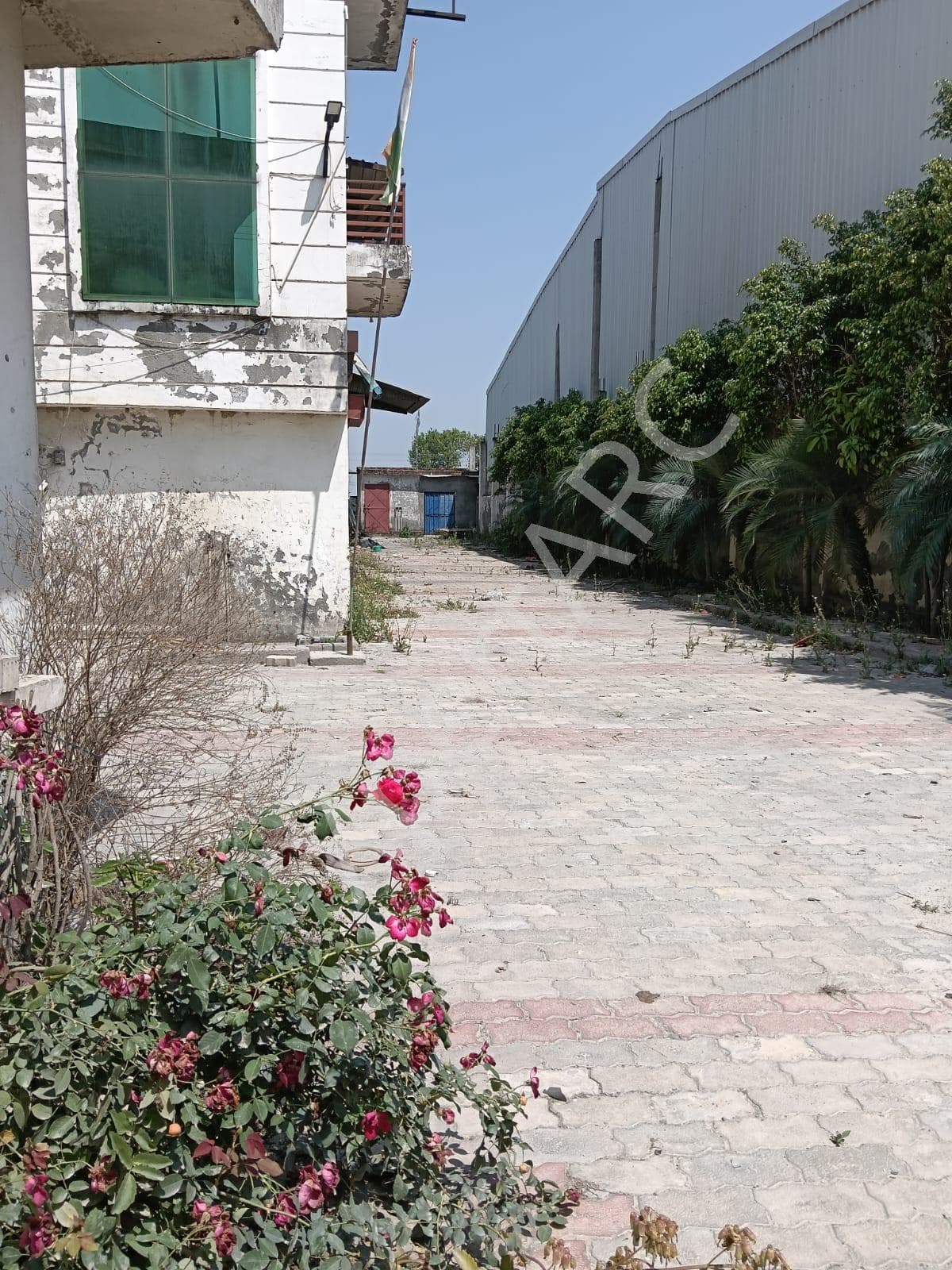 Property Photos 4