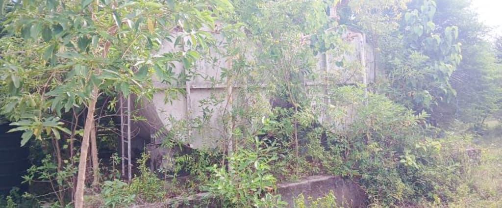 Property Photos 32