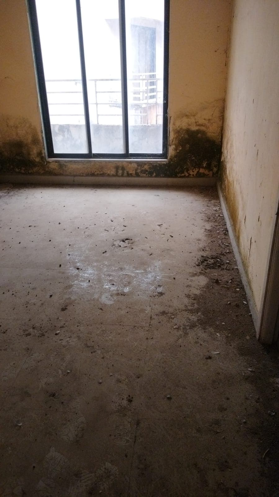 Property Photos 5