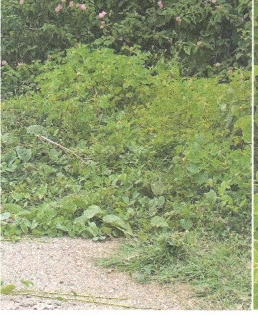 Property Photos 3
