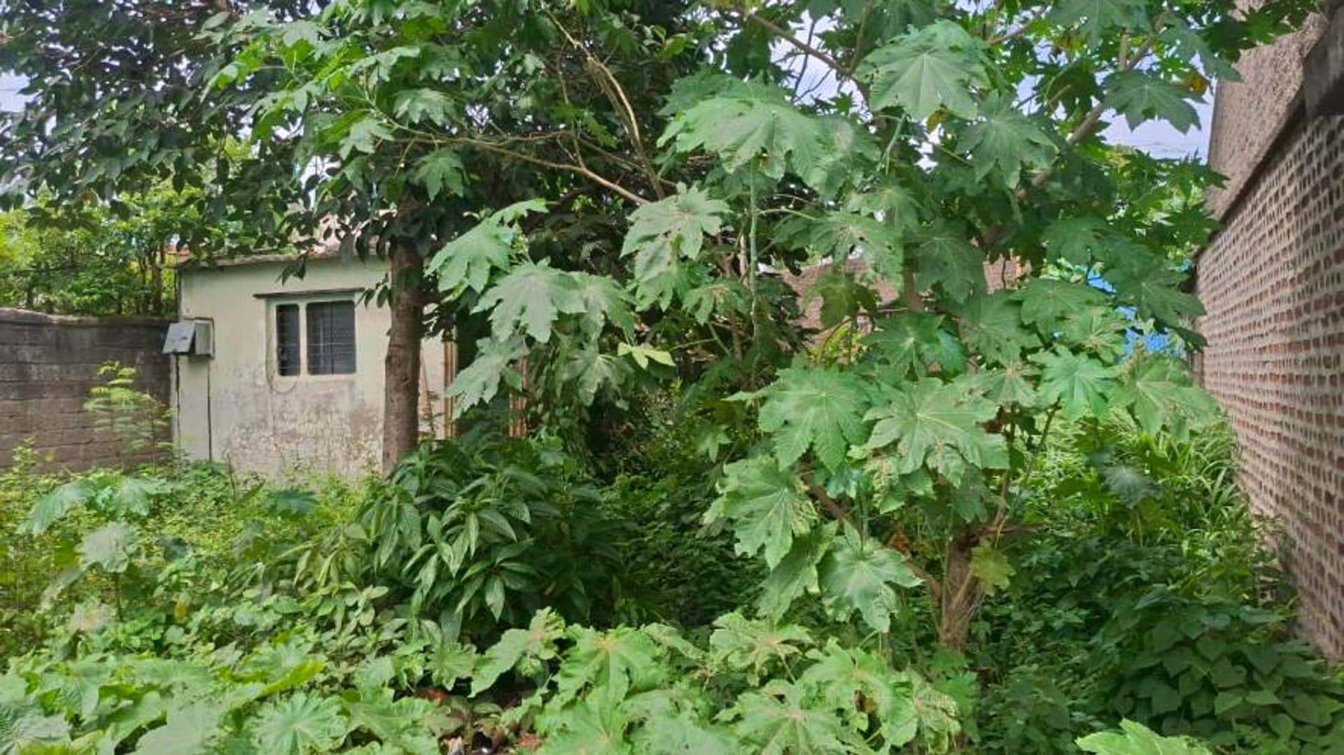Property Photos 14