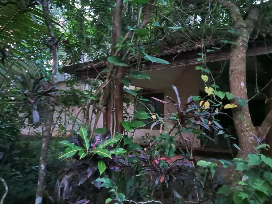 Property Photos 2
