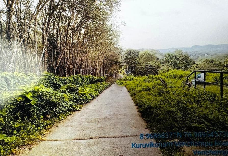 Property Photos 4