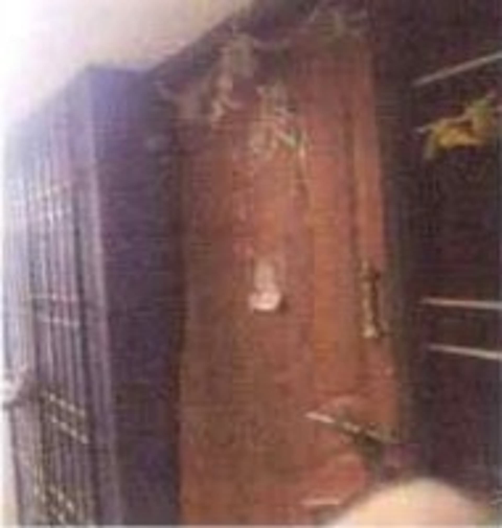 Property Photos 2